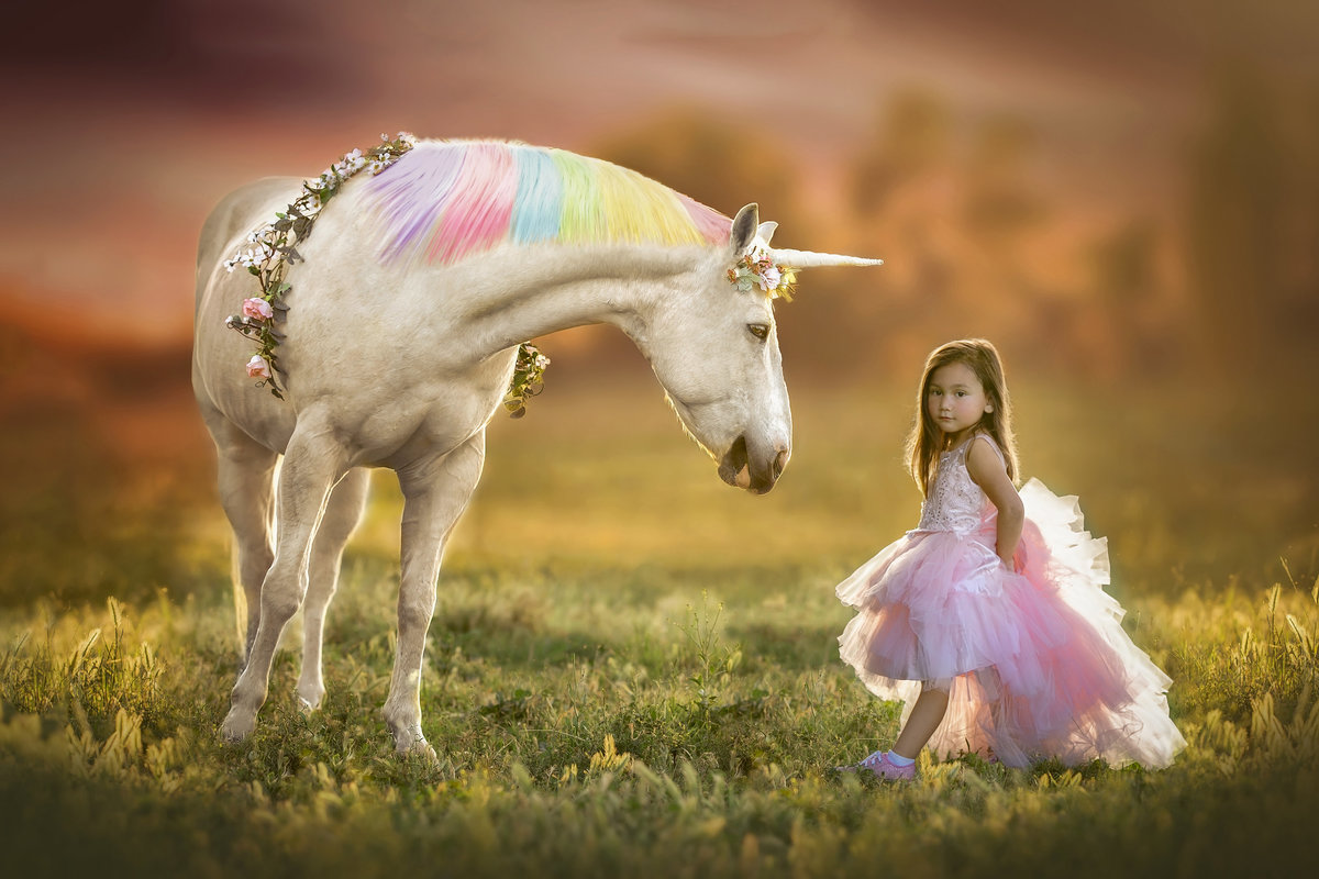 Unicorn & Horse - B