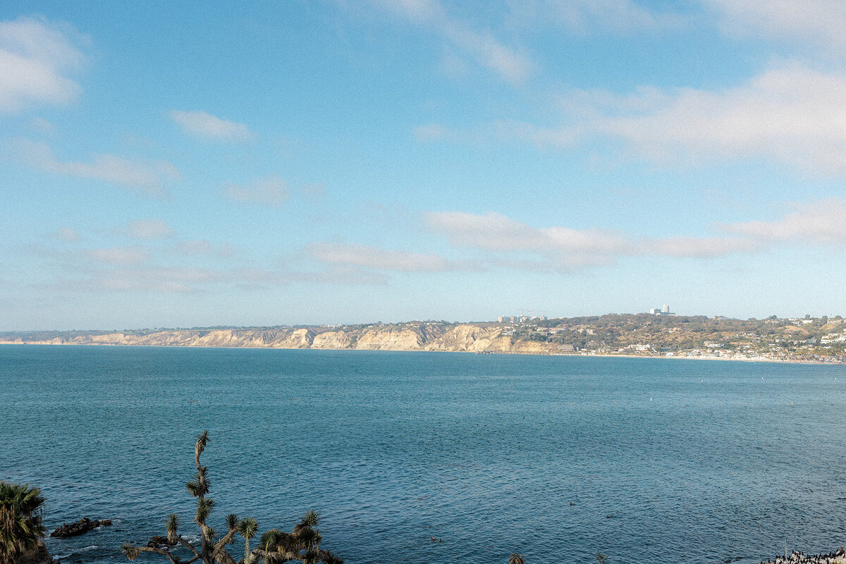 Ocean view at a San Diego wedding
