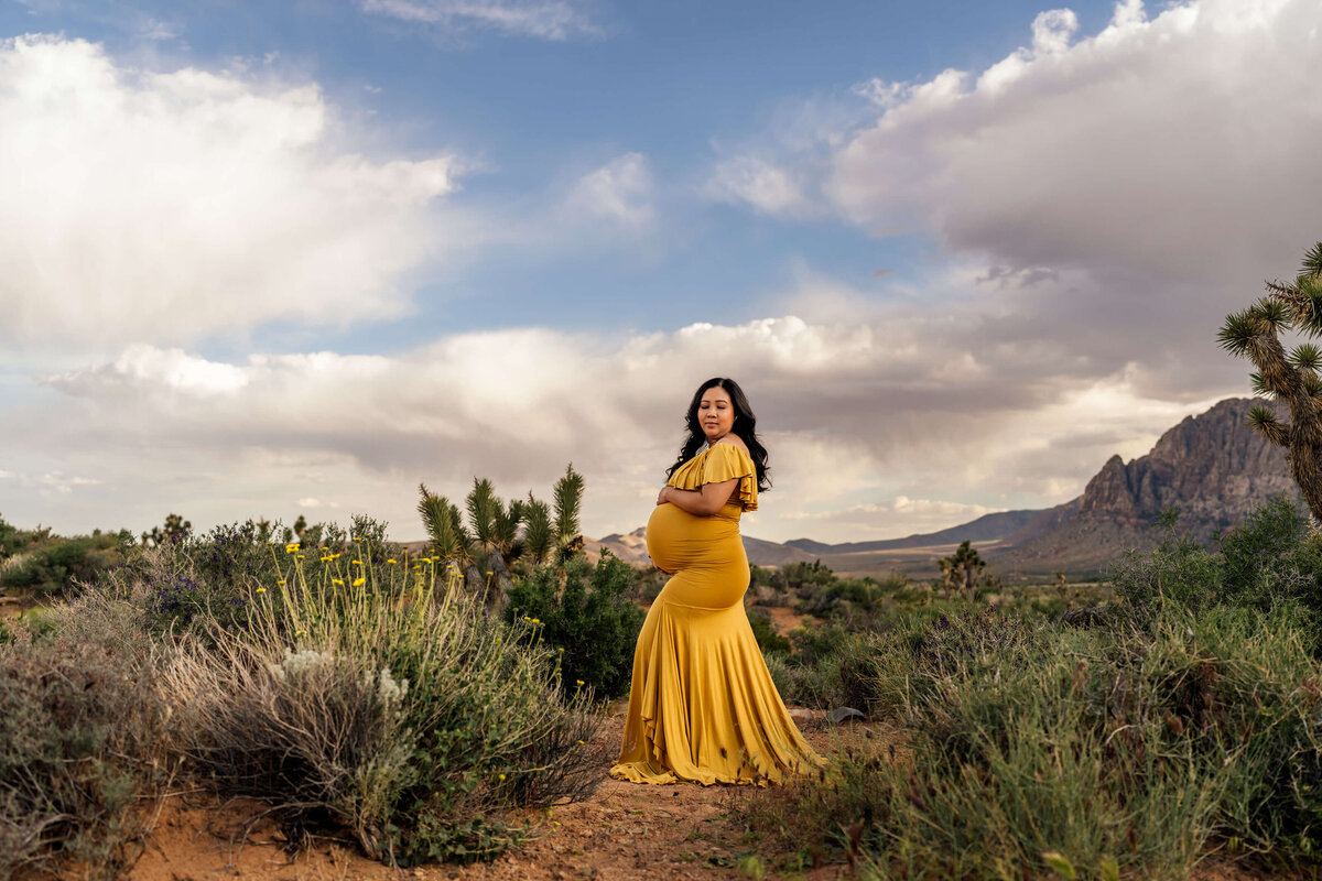 maternity-photography-in-las-vegas