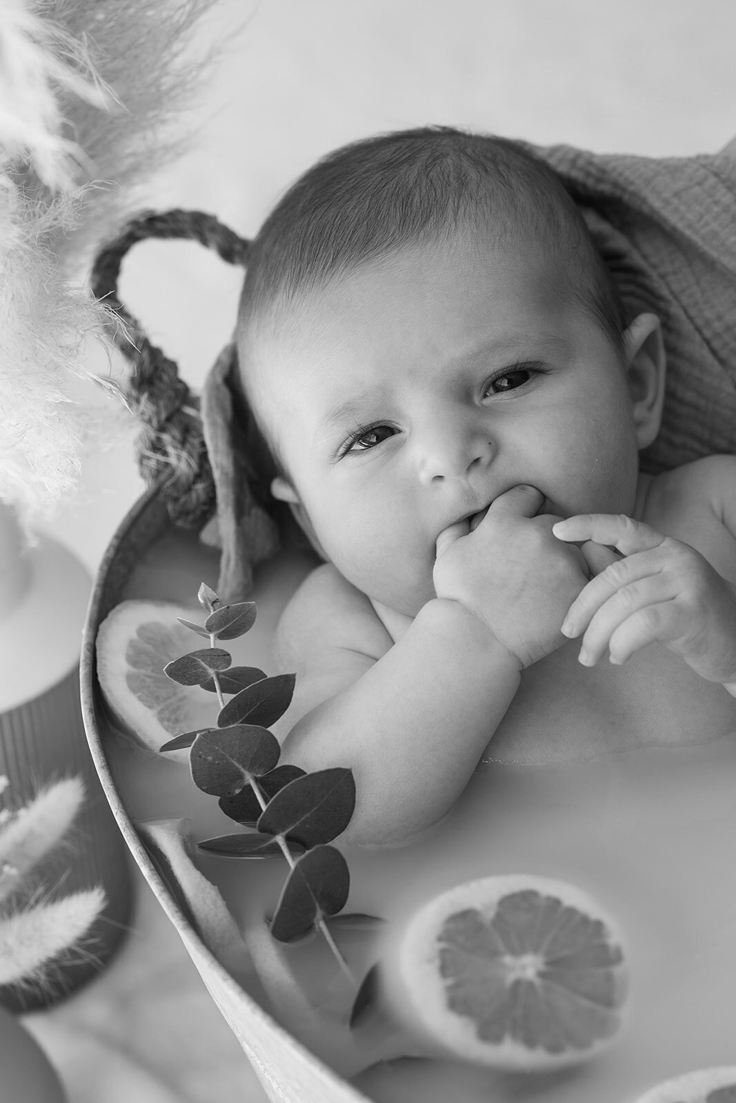 shooting-bebe-bain-de-lait-citron-orange-manosque38