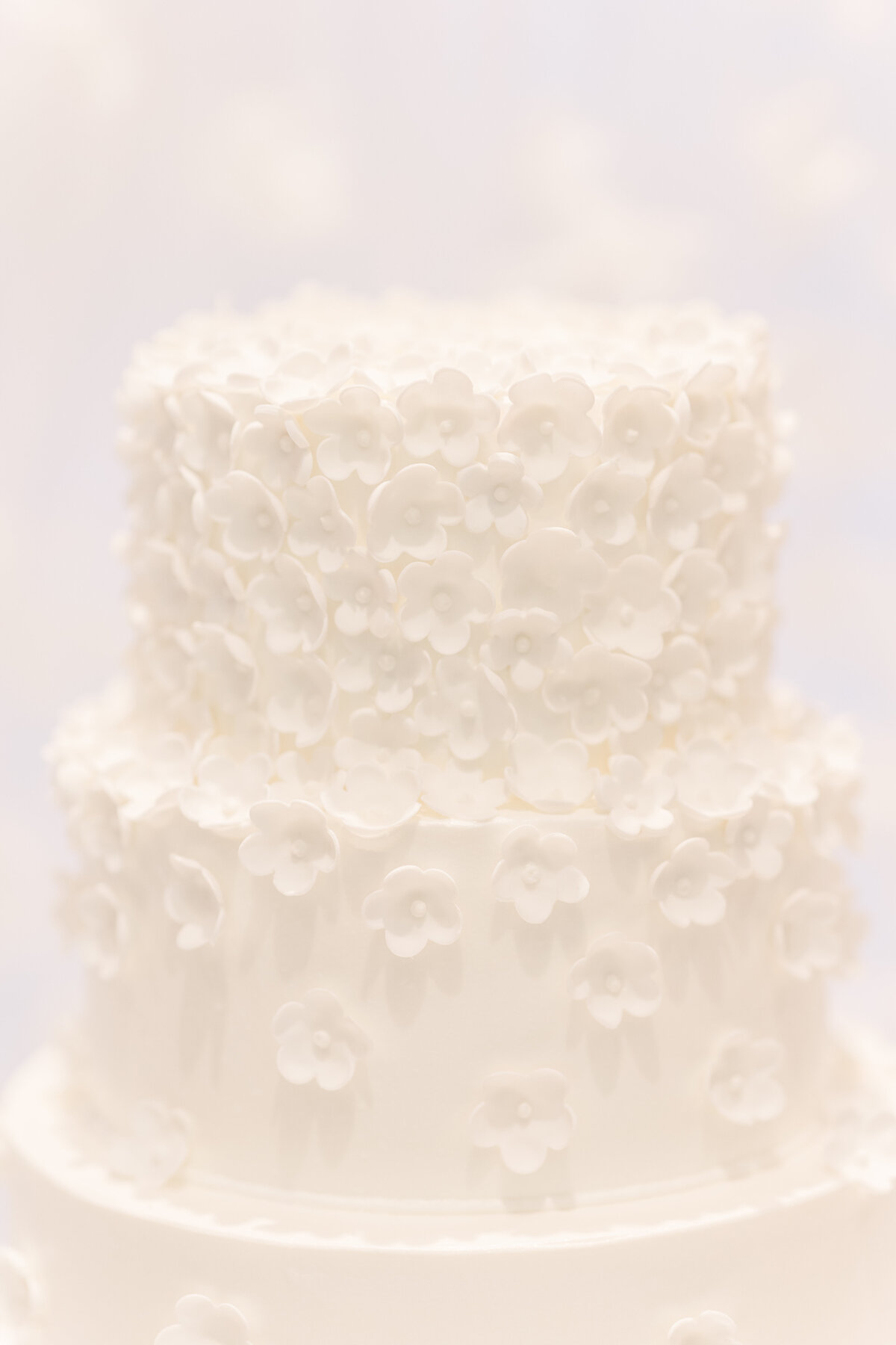 Hotel-Hartness-Wedding-McNease-Tiffany-McClure0571
