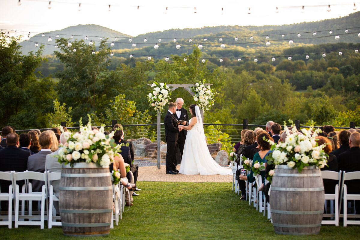 loudoun-studios-wedding-bluemont-blue-valley-vineyards-virginia00020