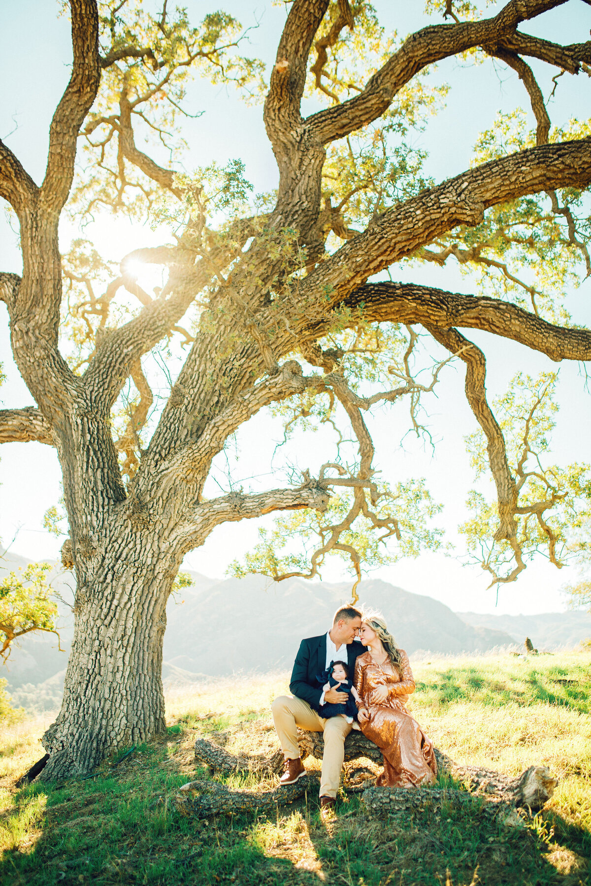 Family Portrait Photo Of Couple Kissing Under a Tree With Their Child Los Angeles