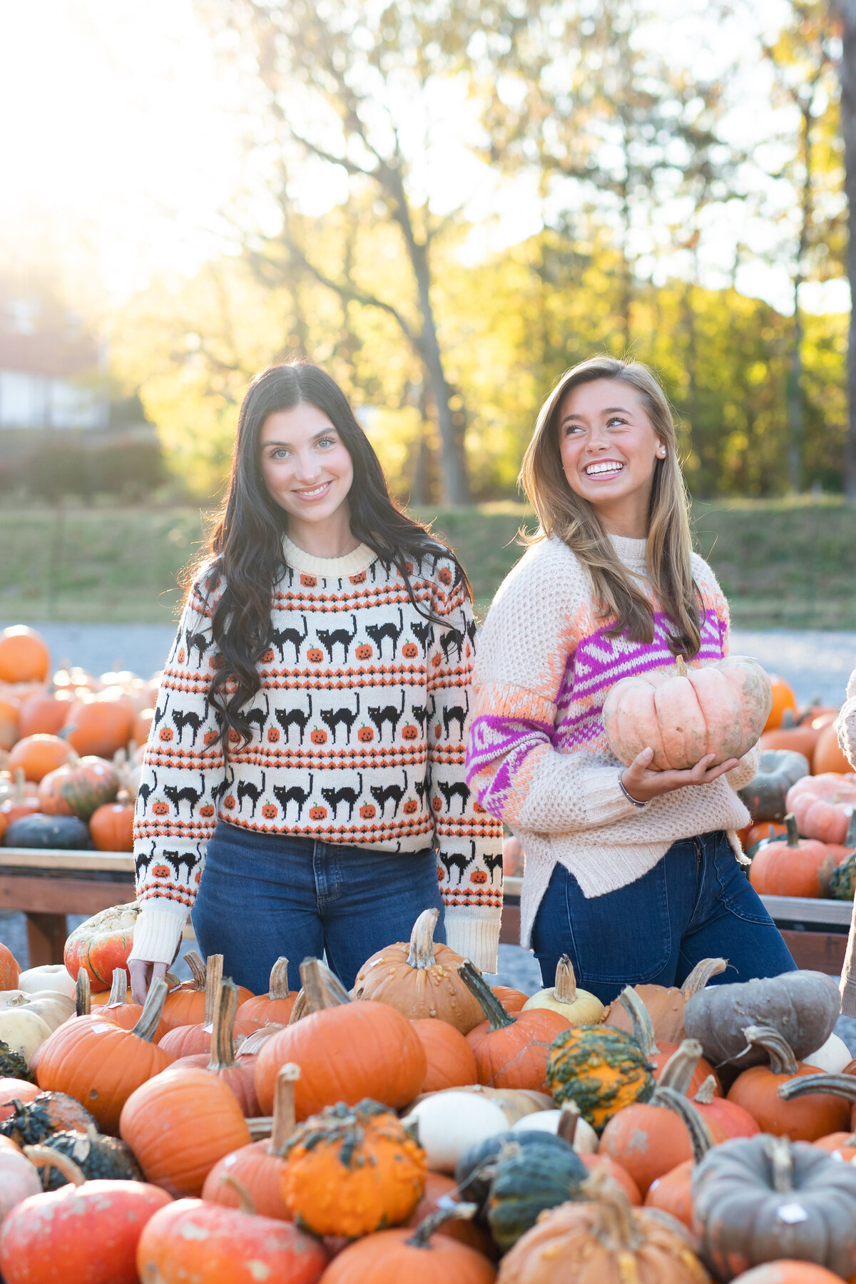 pumpkin-10