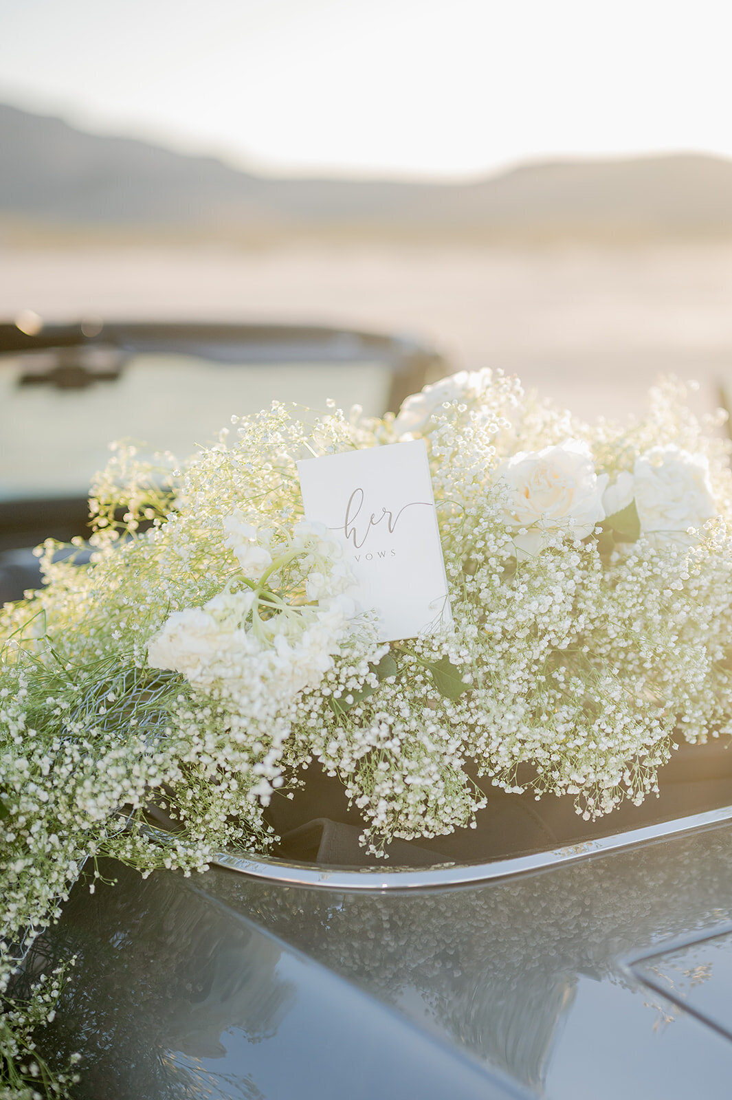 Crystal&GinoWedding-pharrisphotos.com226