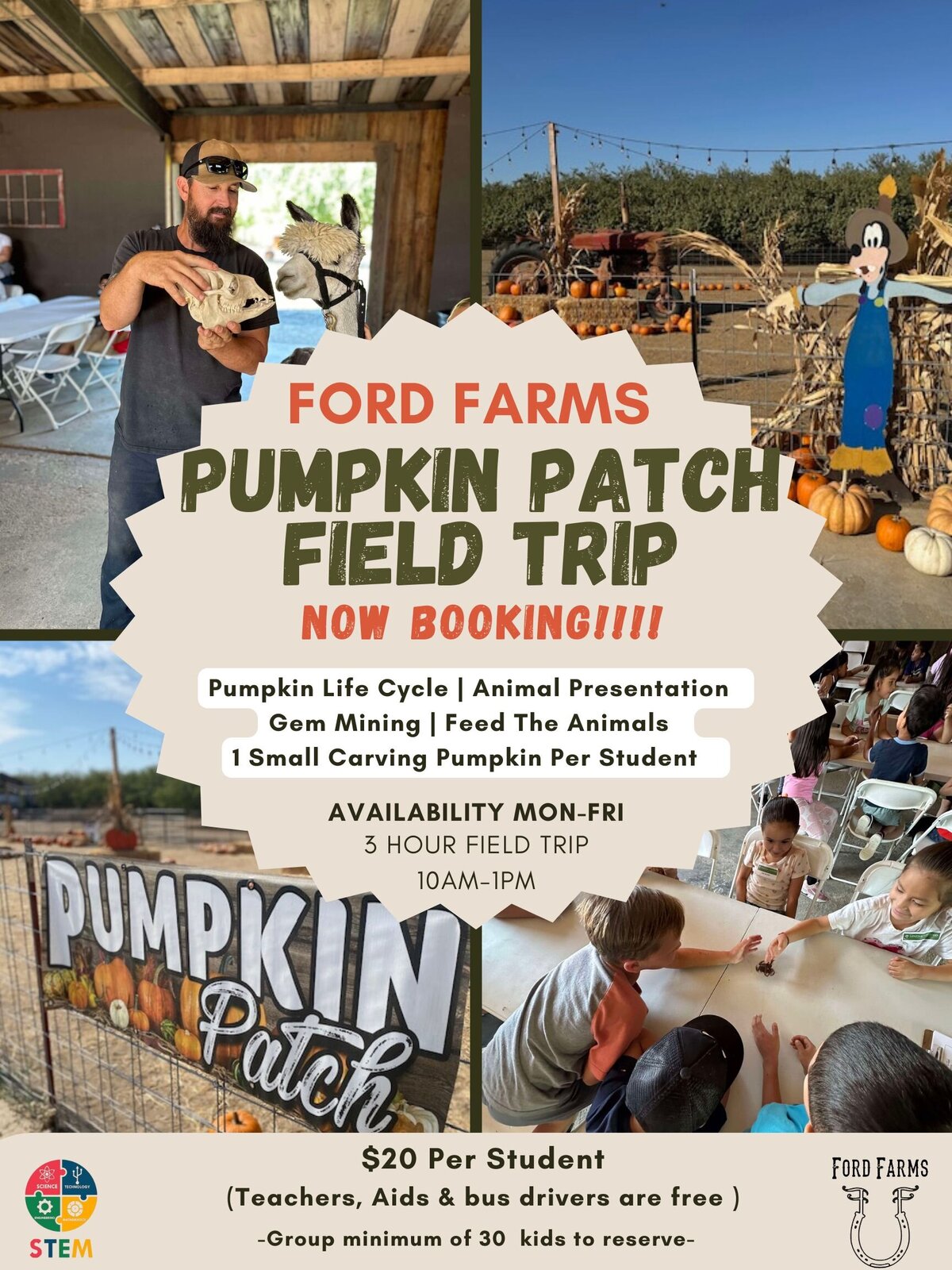 Orange Green Simple Photo Grid Pumpkin Patch Farm Event Poster (1)