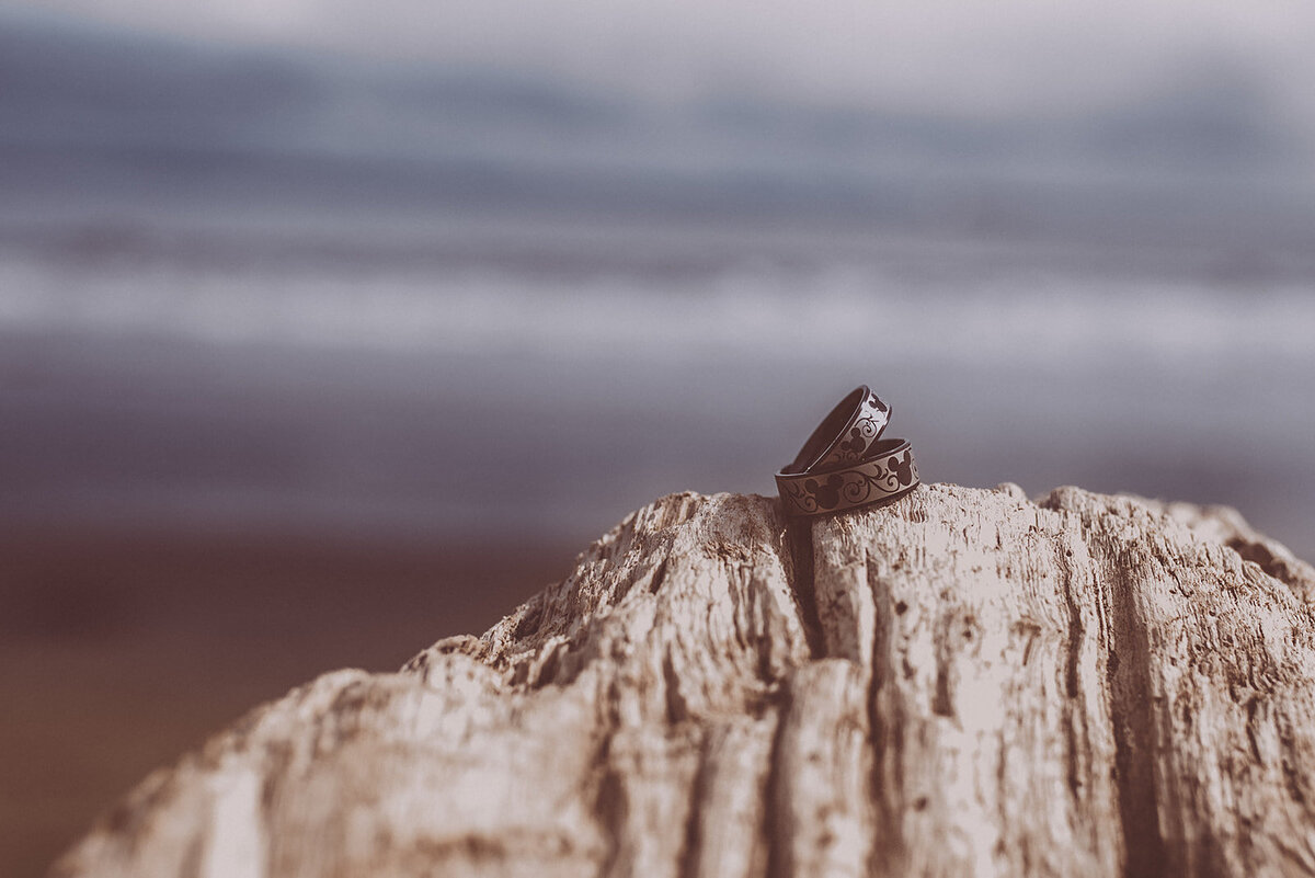 Elopement Adventures -  Elopements Oceanshores  - PNW  - Elopement Photographer - Tiffany Rude Photography-50