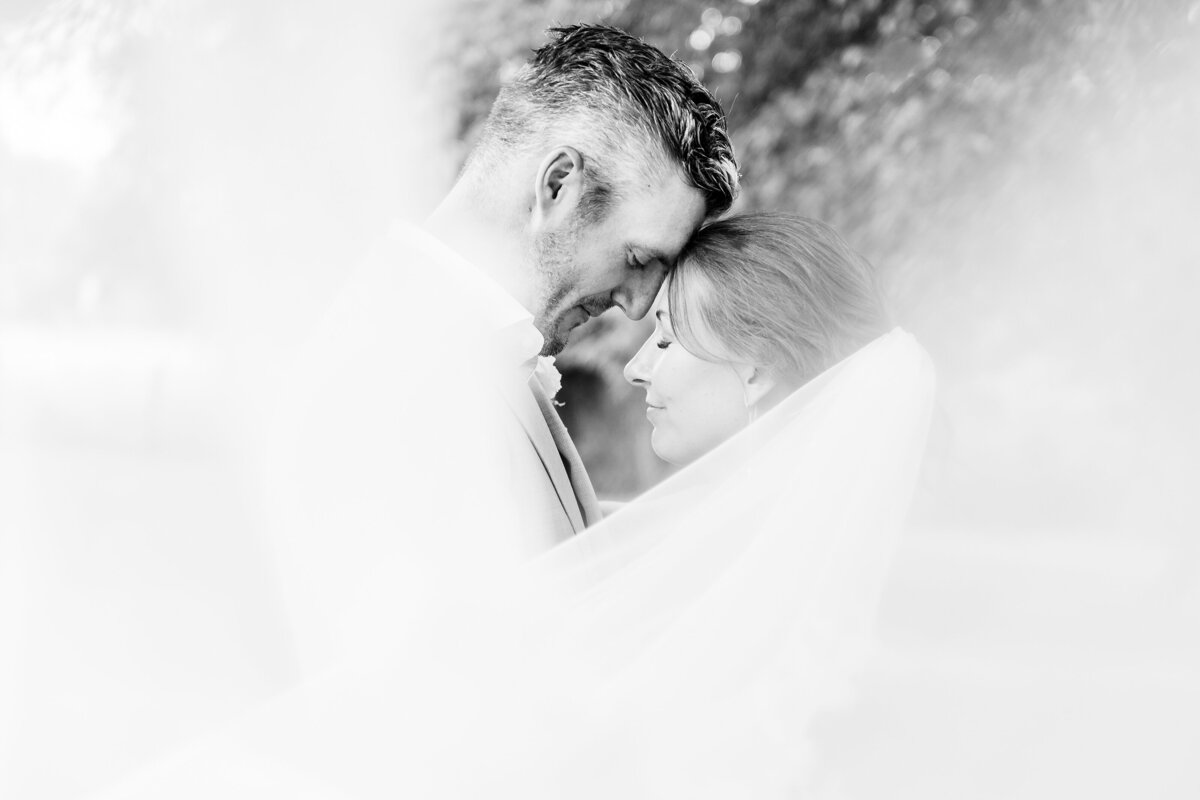 Elle by Stella St Jacobs Wedding - Dylan and Sandra Photography - 0812