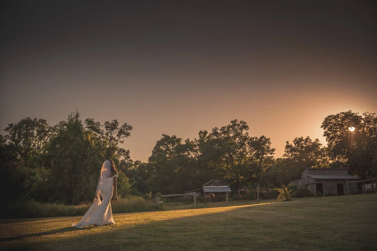 A bride walking in a field as the sun sets