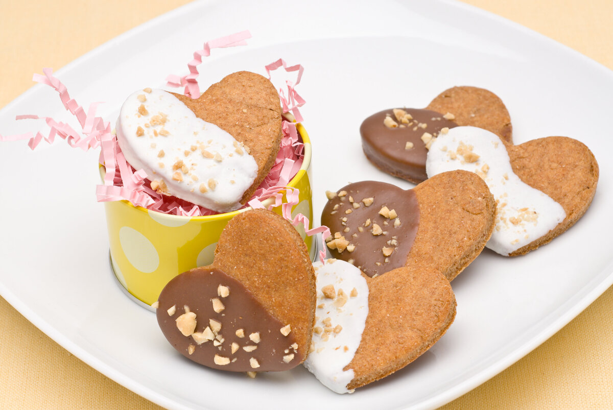 Diva Dog Bakery How to Start a Dog Treat Business from Your Kitchen Launch a Homemade Dog Treat Business9