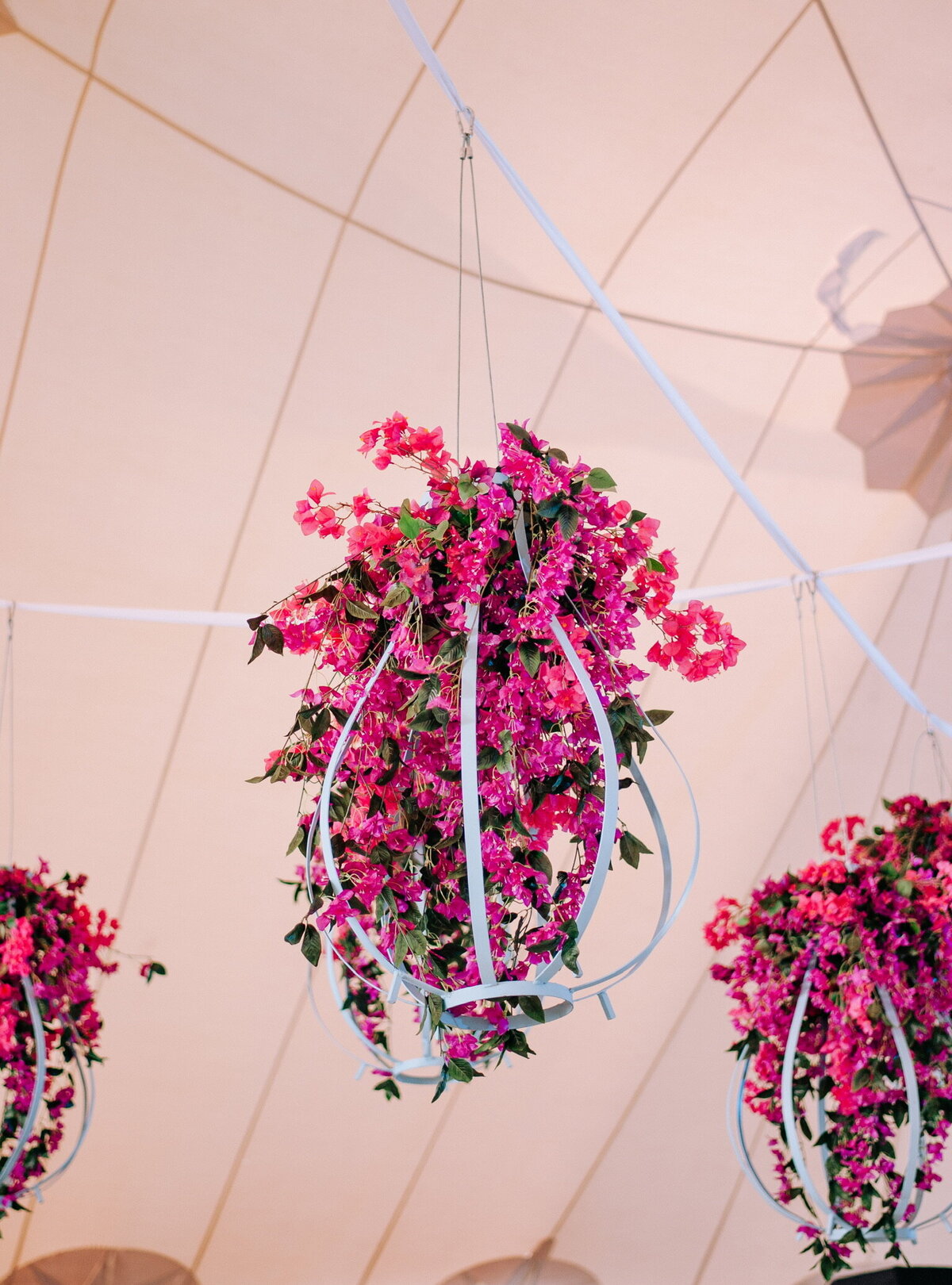 CASWELL WEDDING 2513