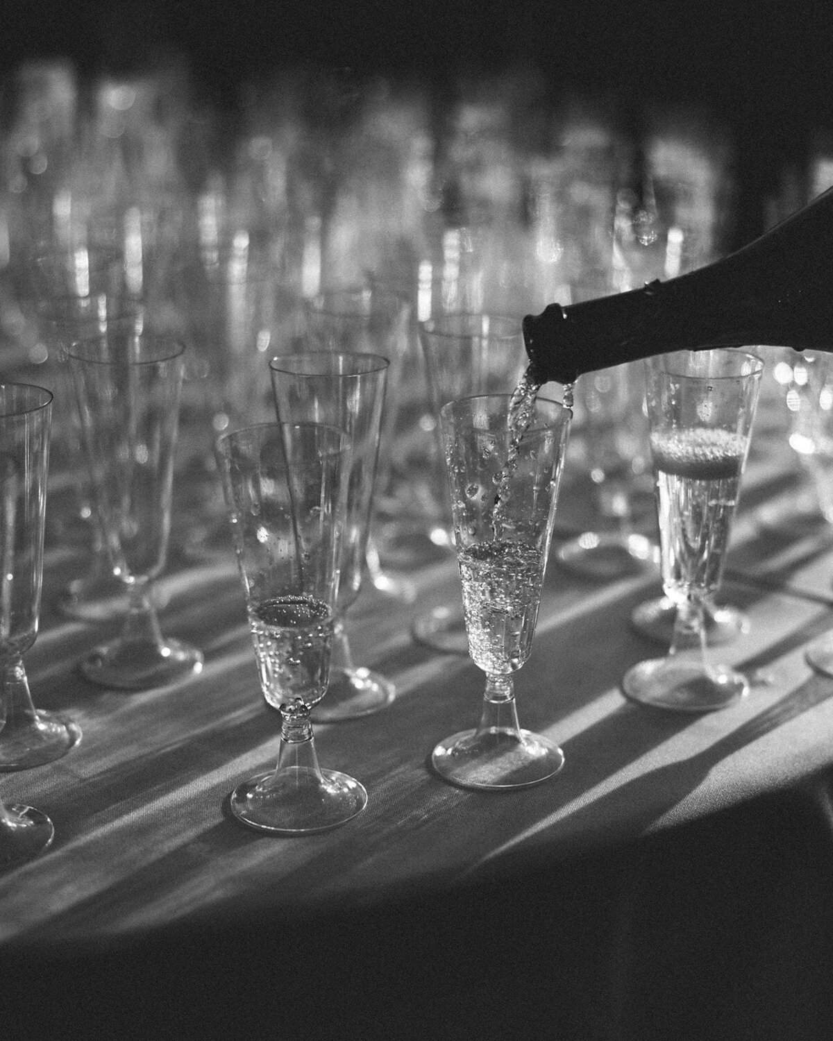millersphotoandfilm-62