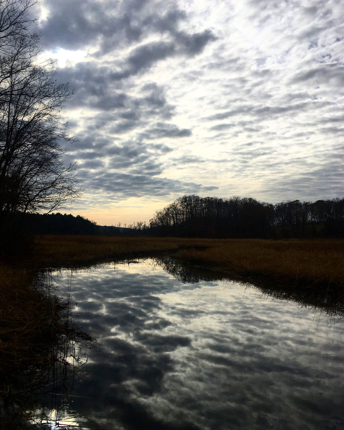 CCC_Estuary_31