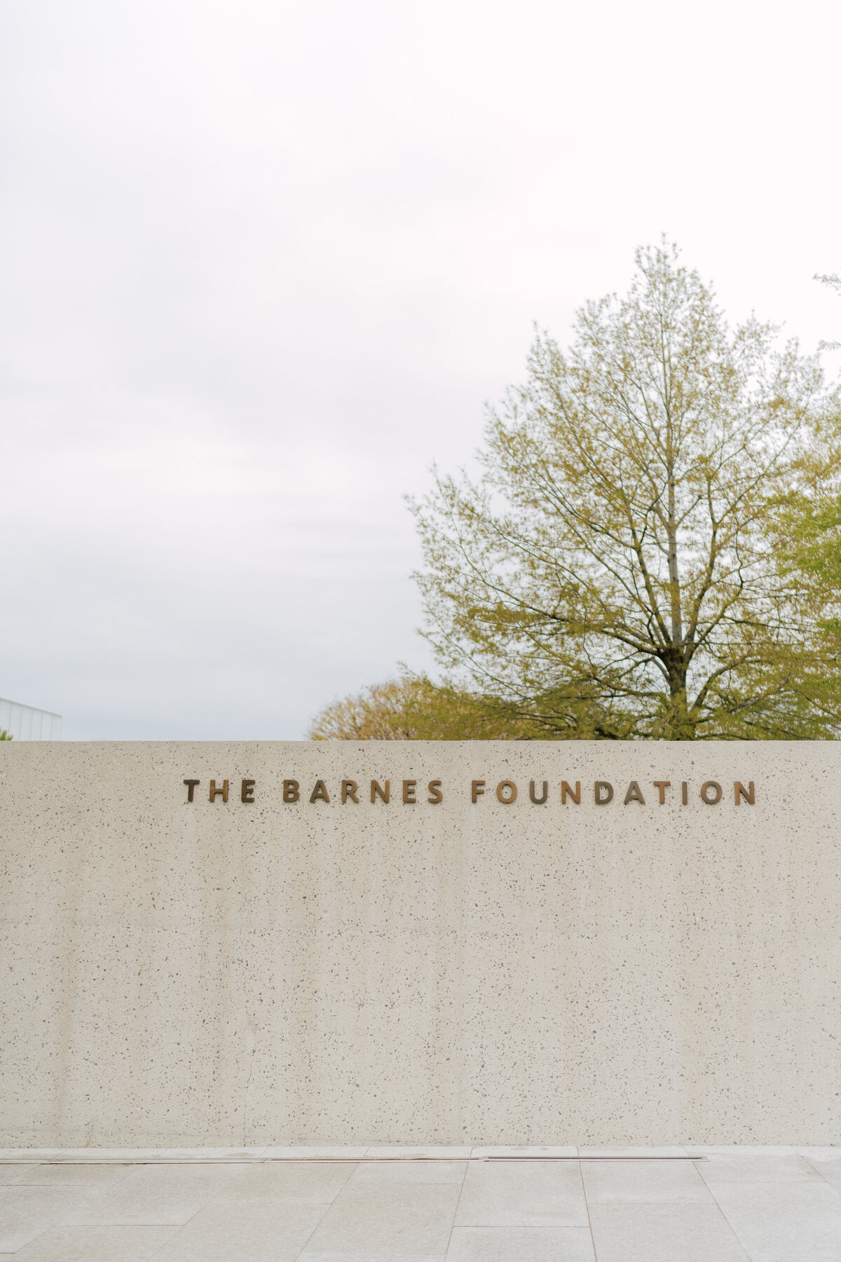 Barnes-Foundation-Wedding-00001