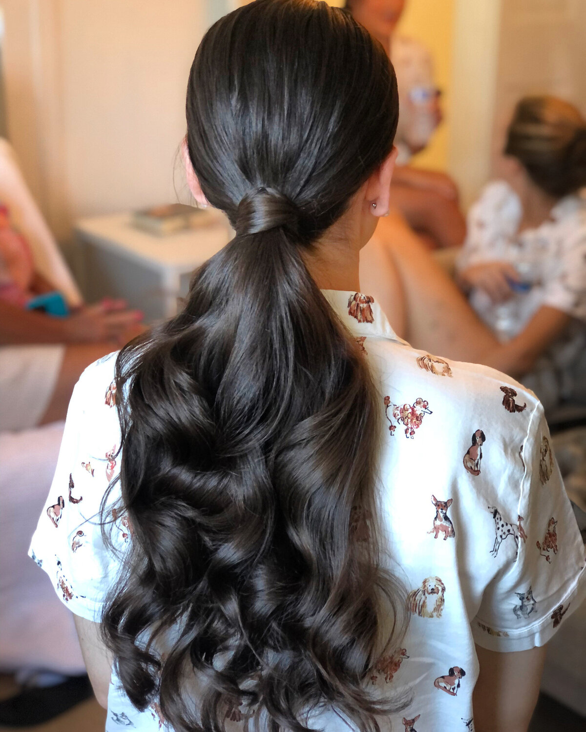 erica-renee-beauty-hair-and-makeup-duo-traveling-ponytail-brunette-wavy-party-pony-bridesmaid-hairstyle