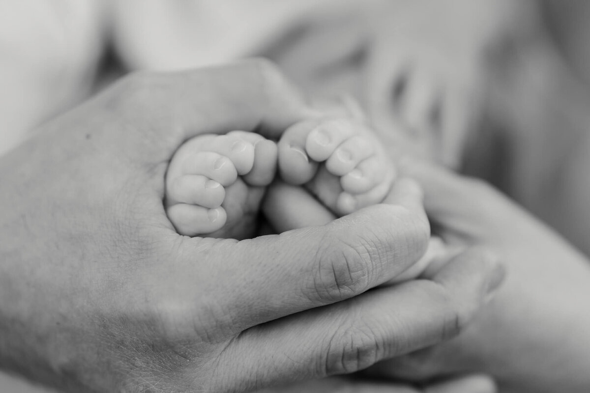 Orange-County-Family-Photography-KJ- (61)