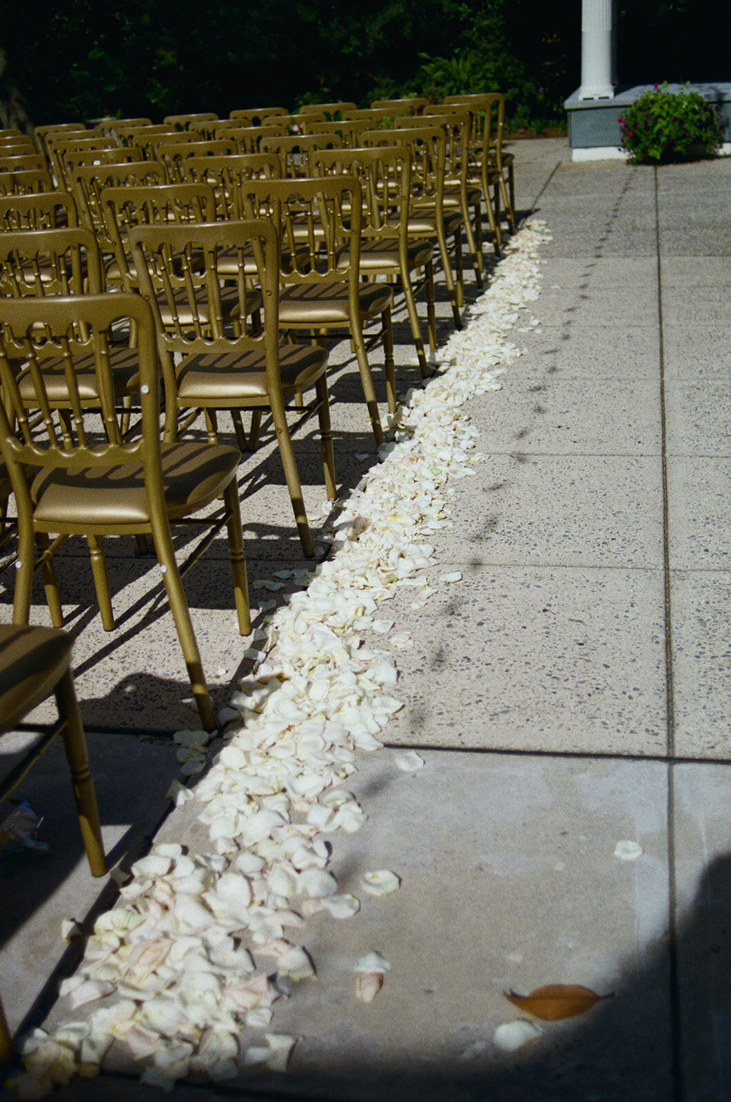Danielle-Canady-Photography-K+K-Wedding-6.7.24-000337530008