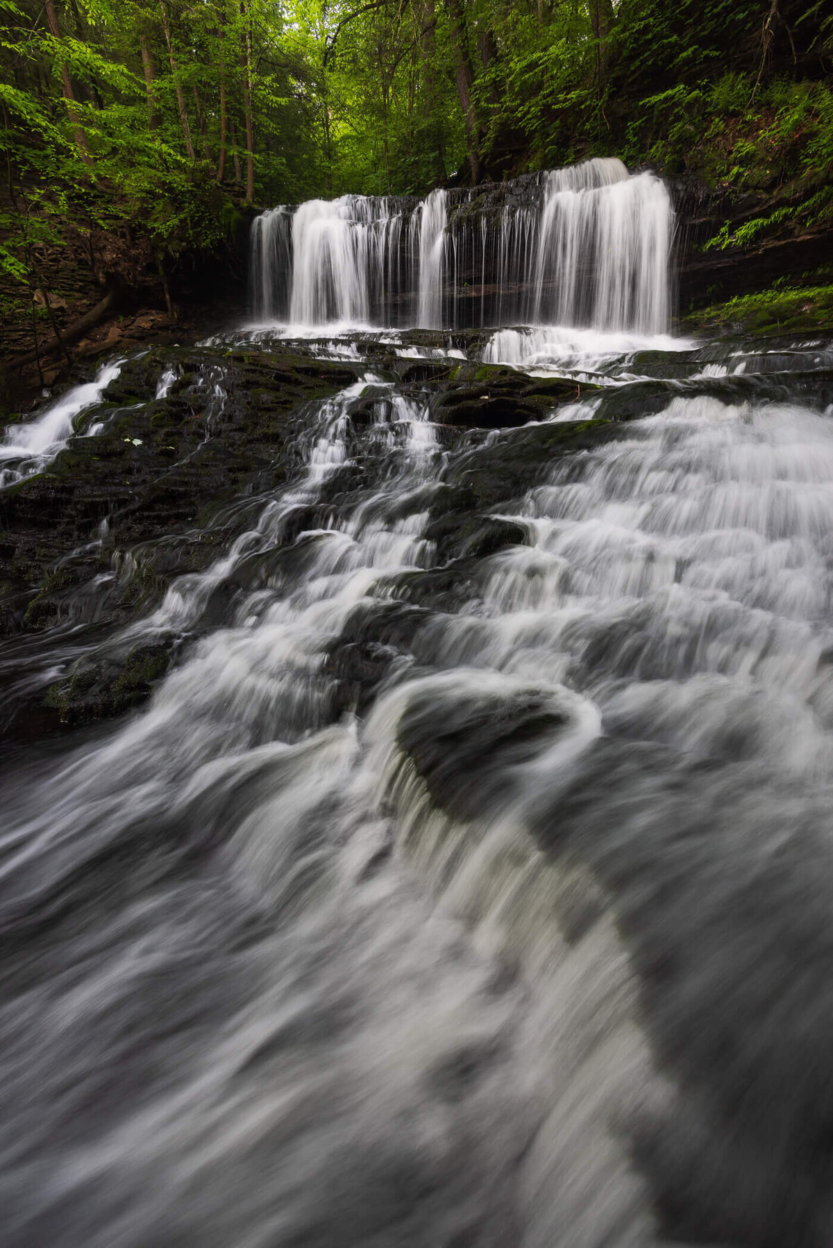 Appalachia-Pennsylvania-PA-Poconos-Landscape-Nature-Photography-Chrissy-Donadi-10