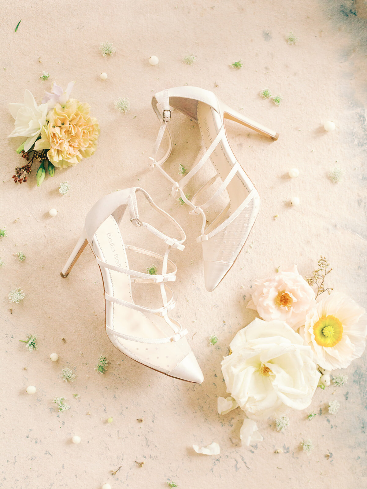 C1D2EDE3-6750-4FB0-AC11-D6782A4C0447