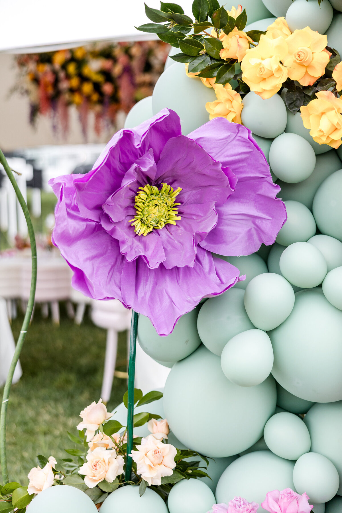 Baby in Bloom Ogunwole  Iris Mannings Photography-46