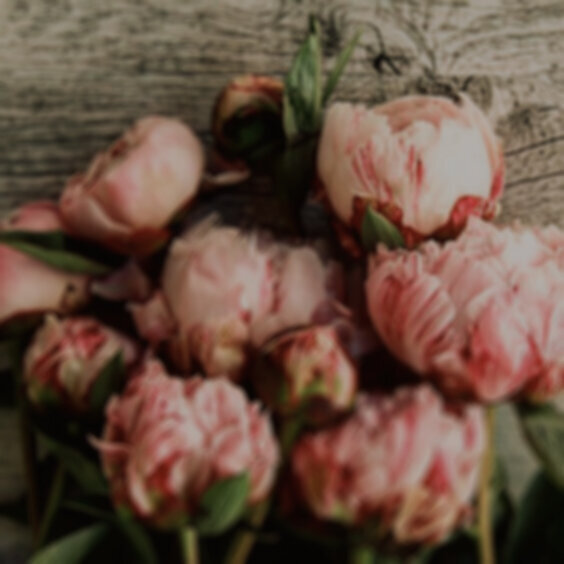 Peony
