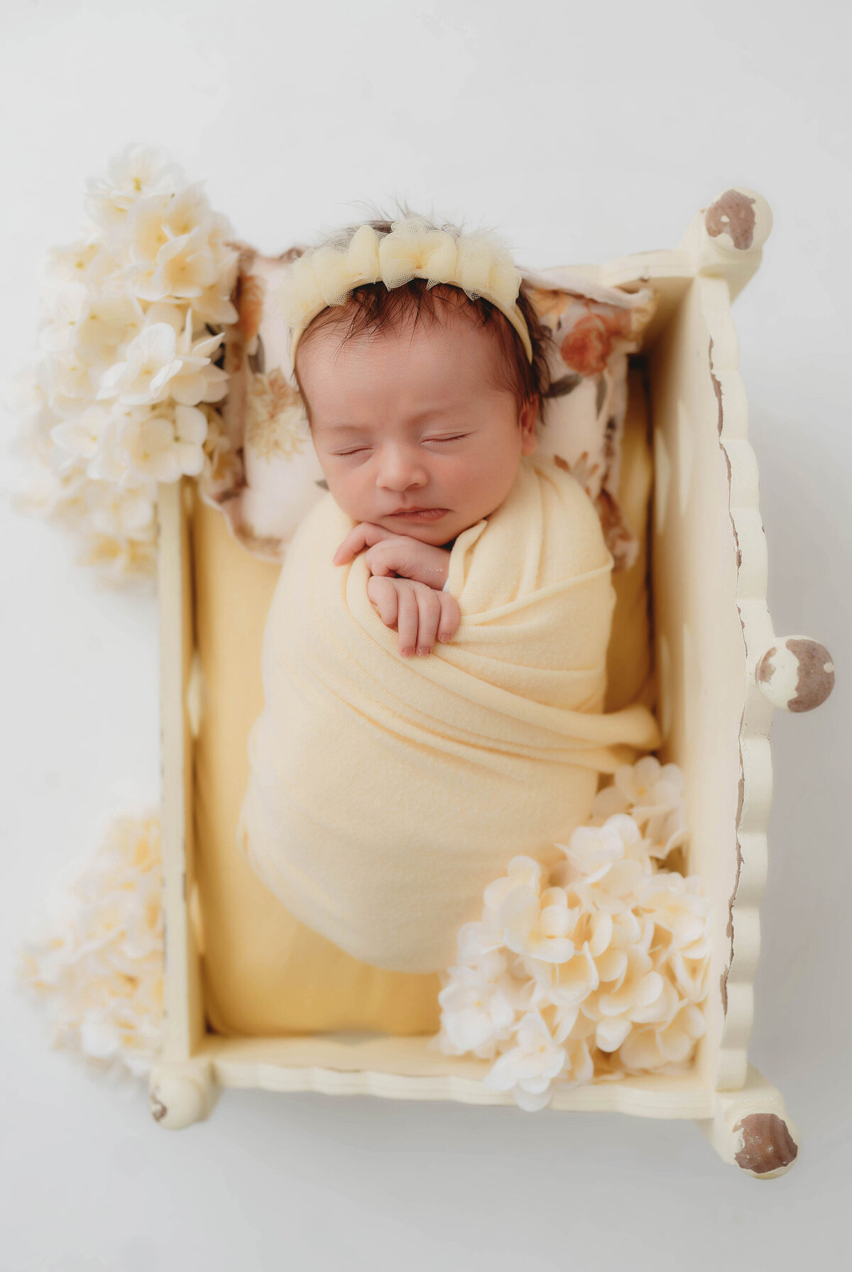 Infant posed for Newborn Photos in Charleston, SC.