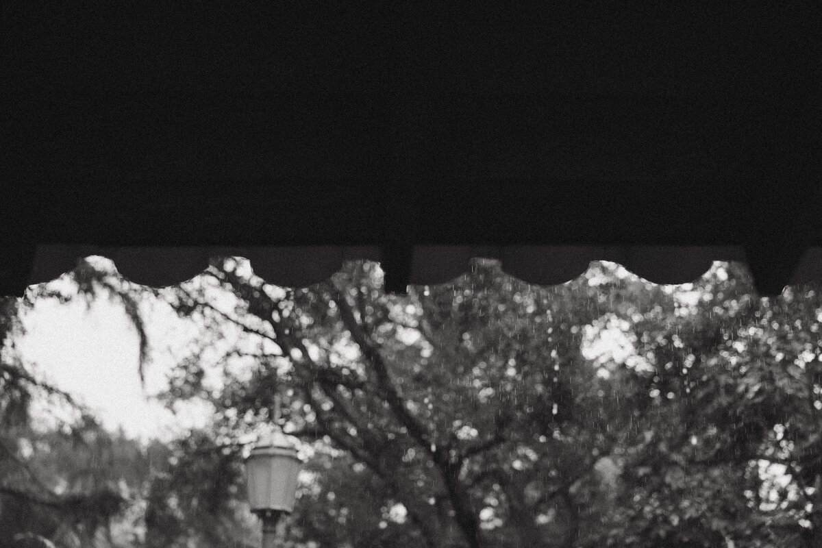 Rancho_las_lomas_Raven_berlin_photo-842