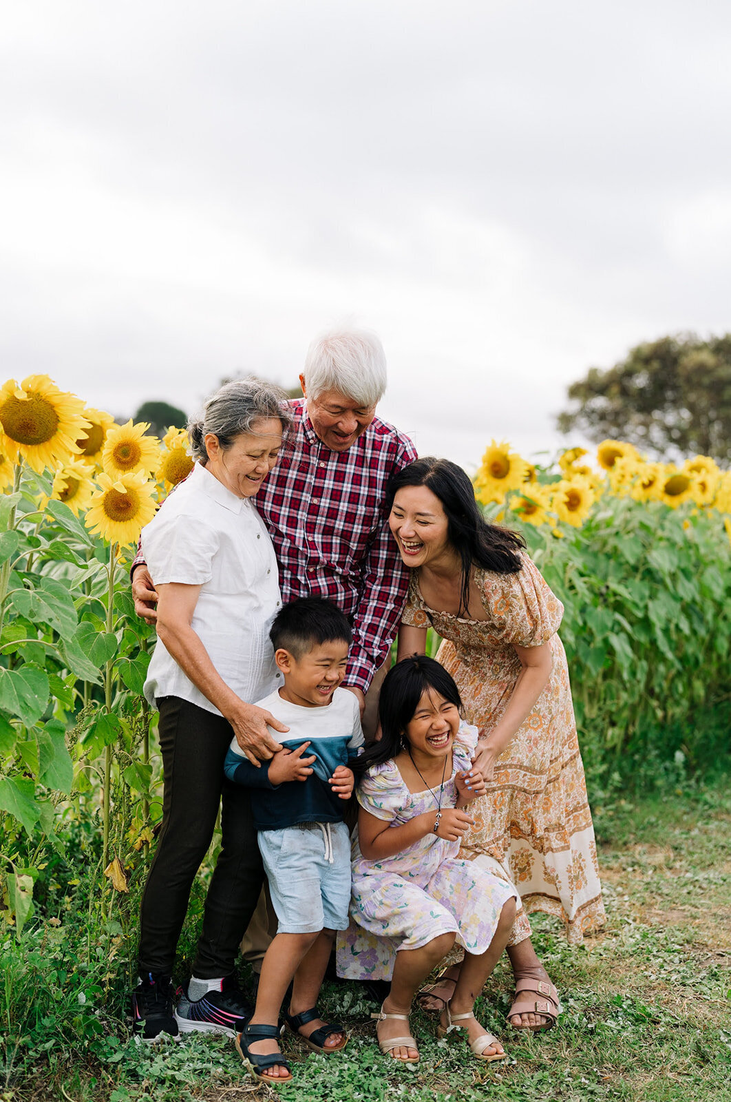Geelong-surf-coast-sunflowers-family-photo-session-with-Bobby-dazzler-photography-10