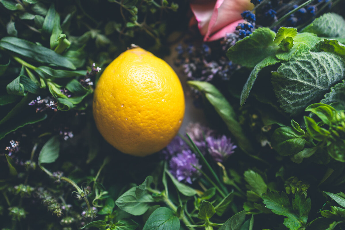 preserved lemon-0730