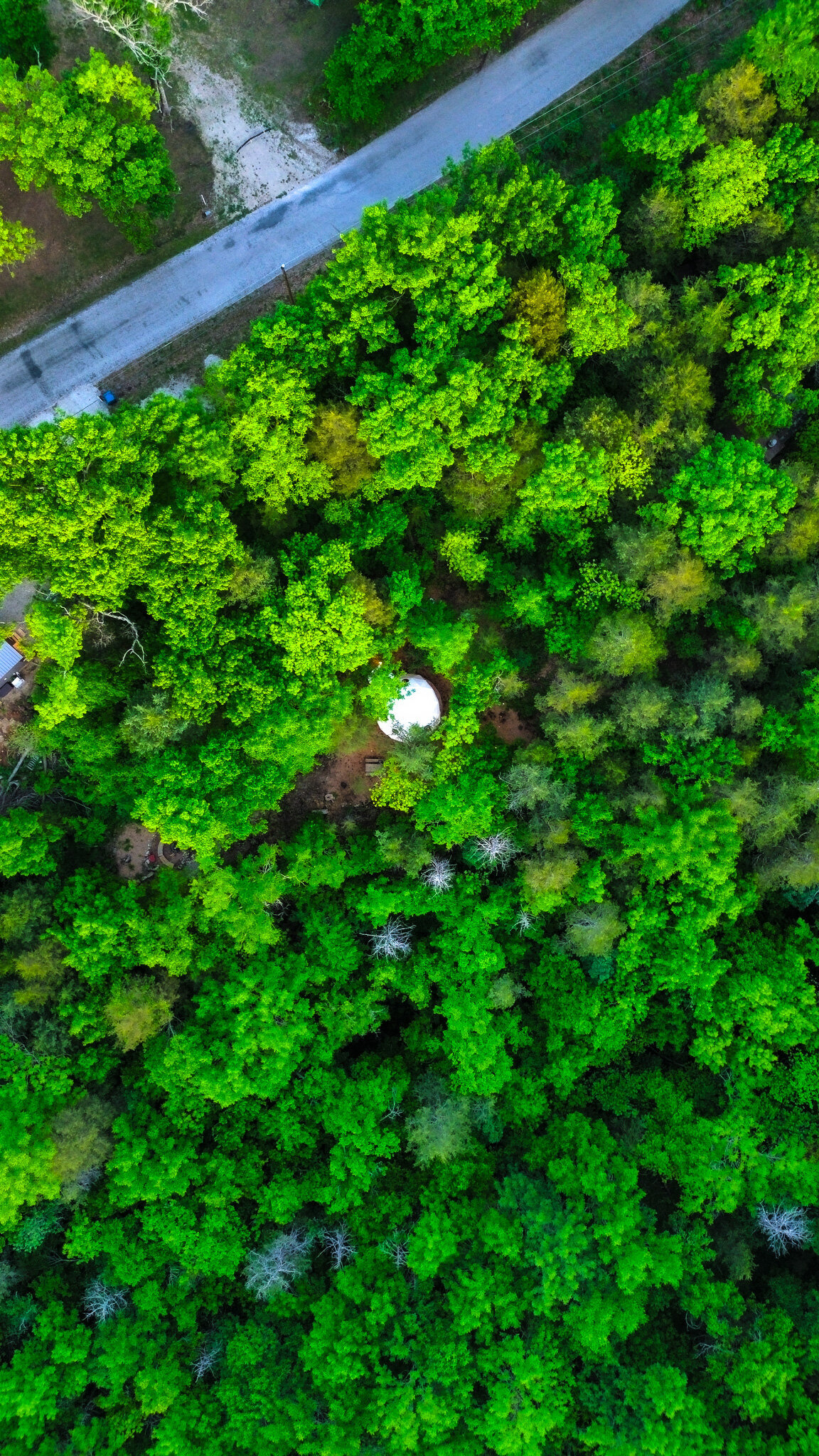 dji_fly_20240502_170416_492_1714822735425_photo_optimized