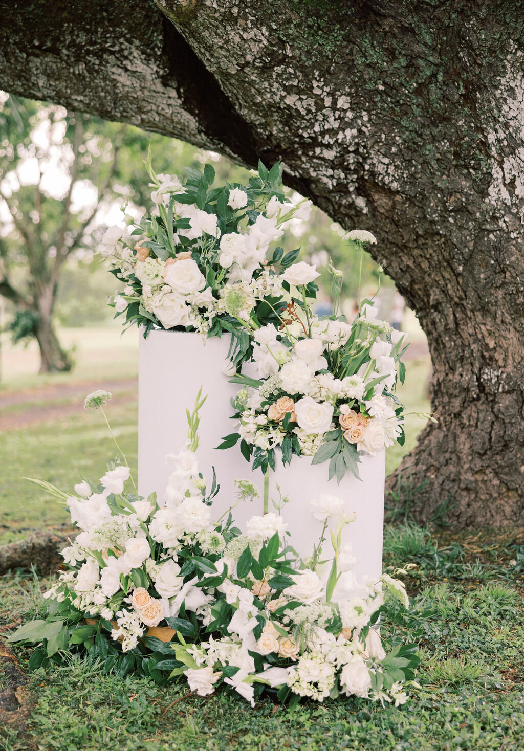 Meredith_Robert_Hawaii_Wedding-329