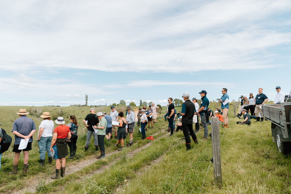 Forestry Fielday-0094