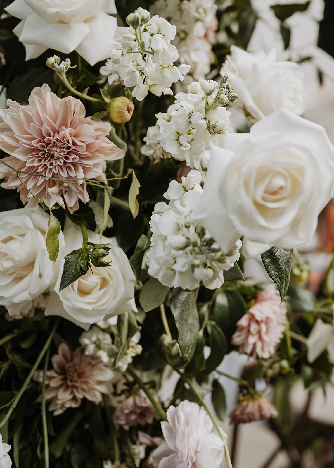 L&R-peeks_SarahHallPhoto-37