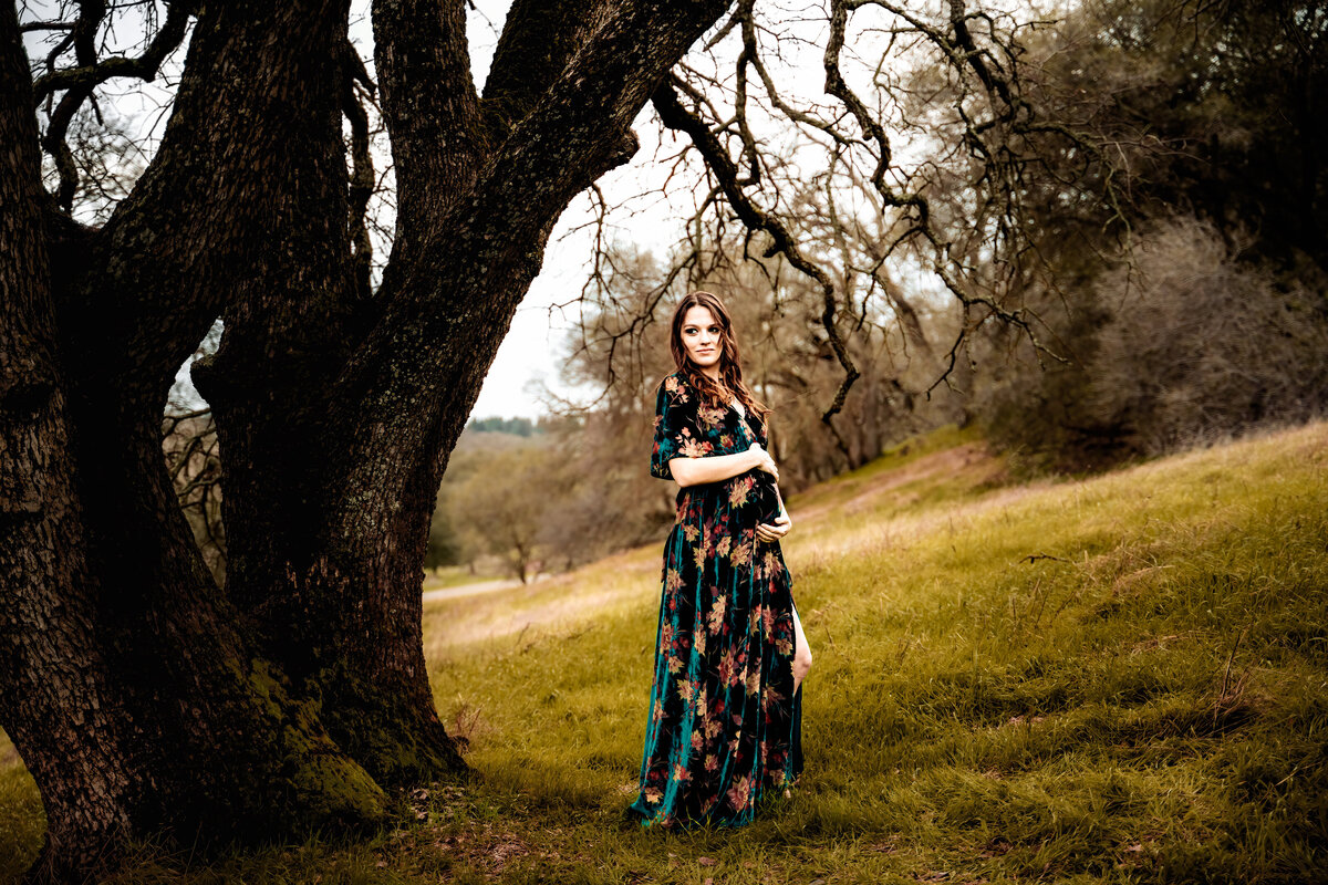 Gold River Maternity Photographer