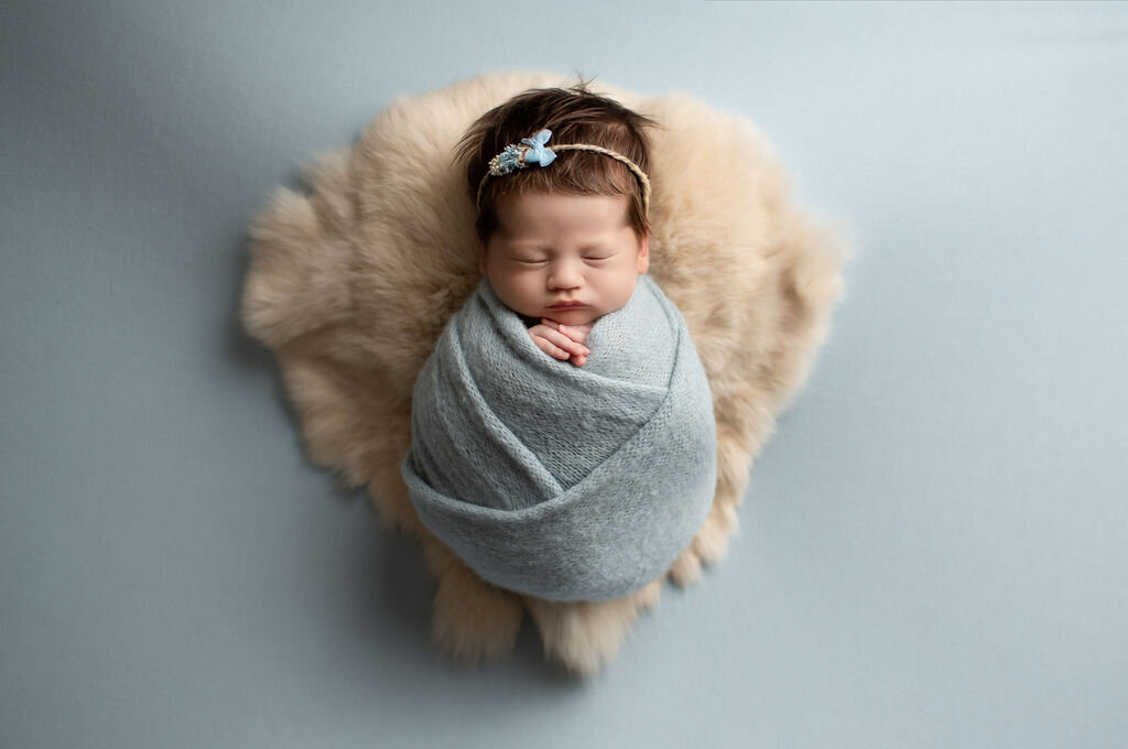 baby girl with lots of dark hair on blue fabric in windsor co newborn photography studio