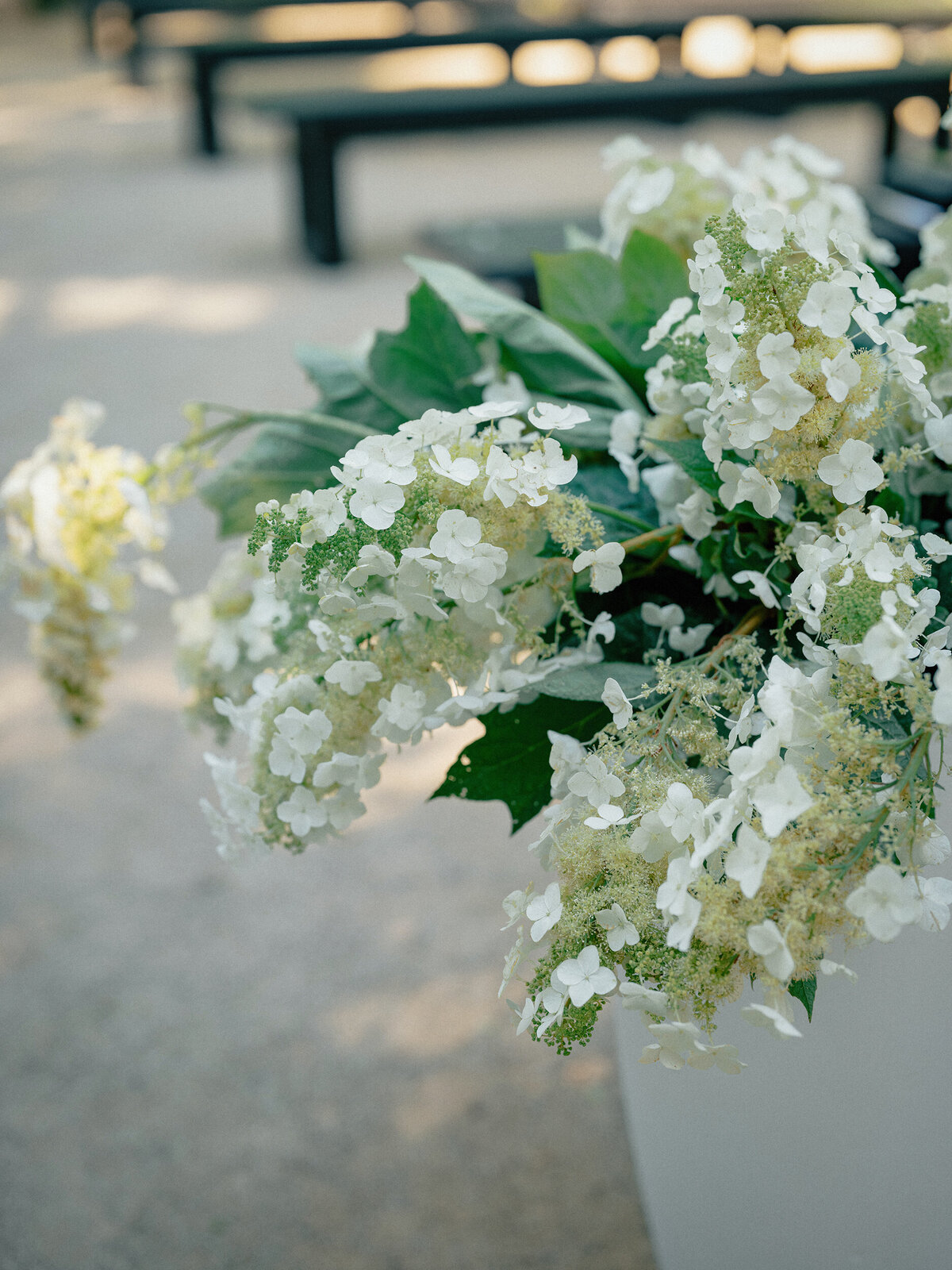highlights_035