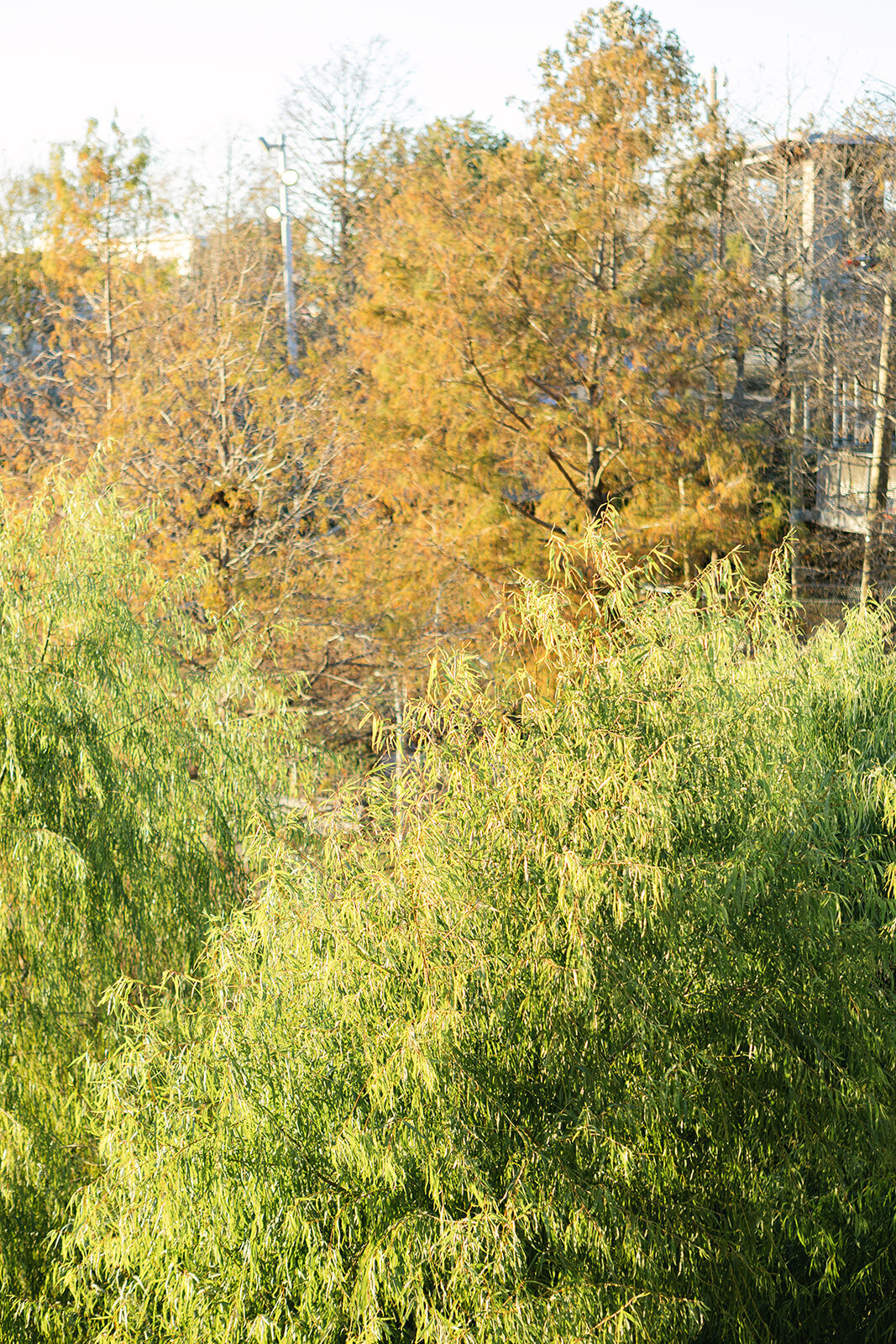 2I1A5737_websize