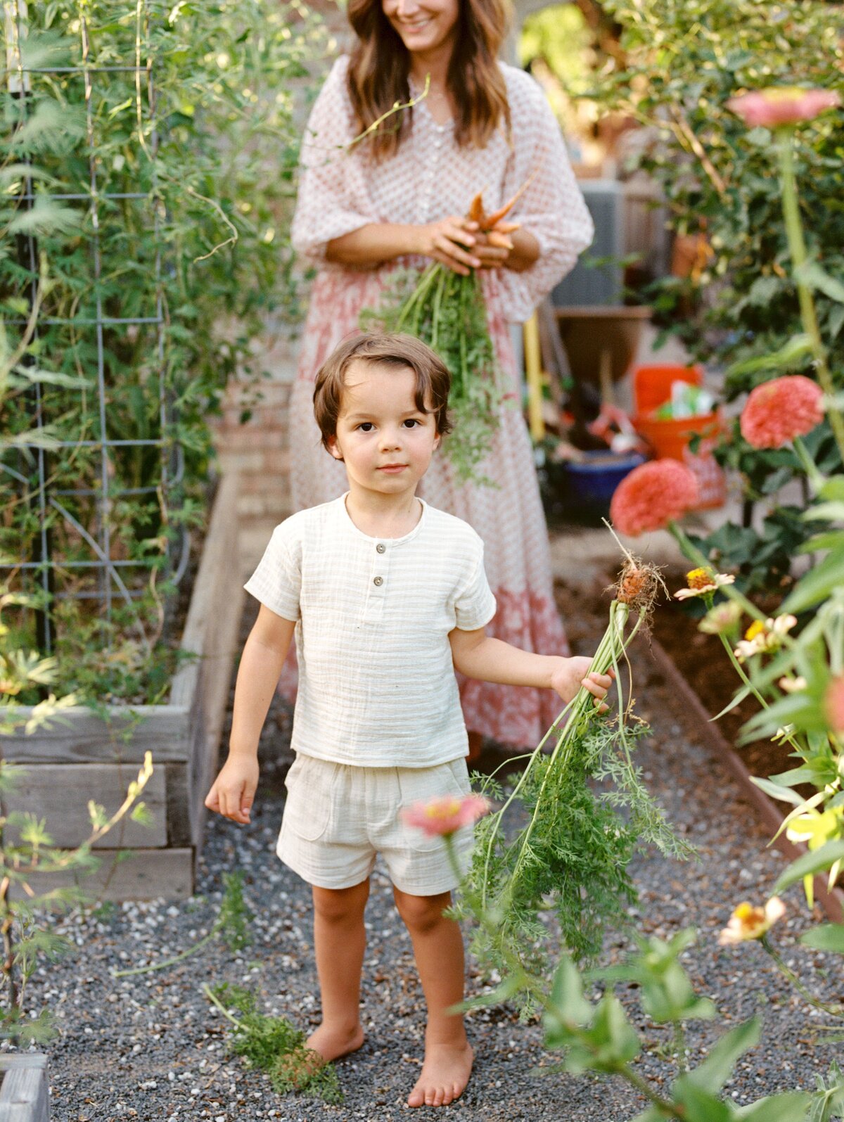 Gilbert Garden 2024-20