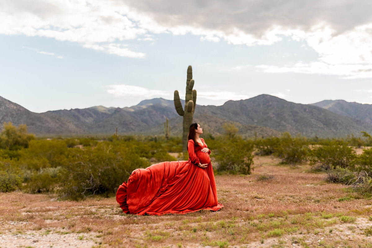 Stunning maternity portrait in Arizona desert with long flying dress train in the air.