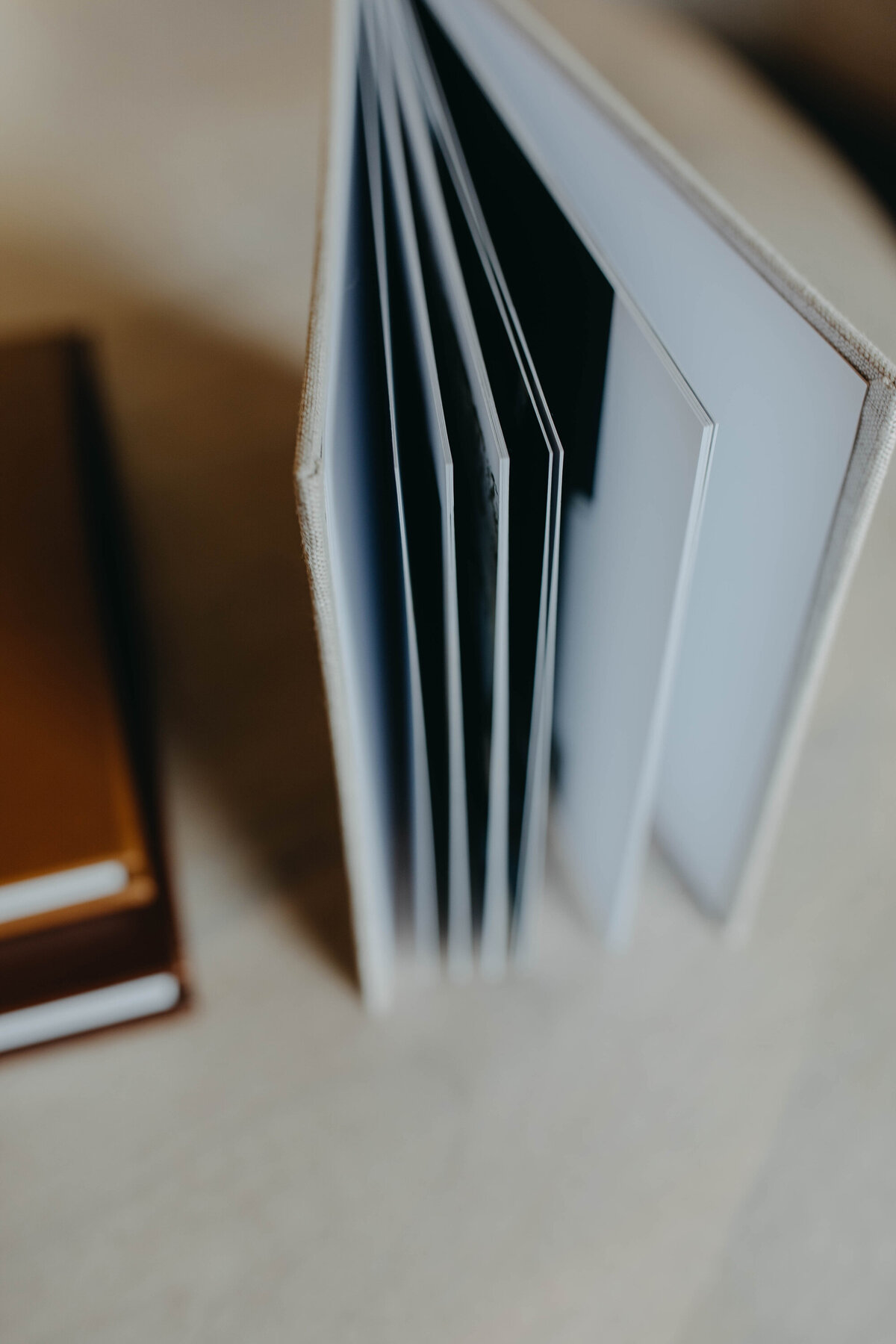 album-branding-photos-2023-12