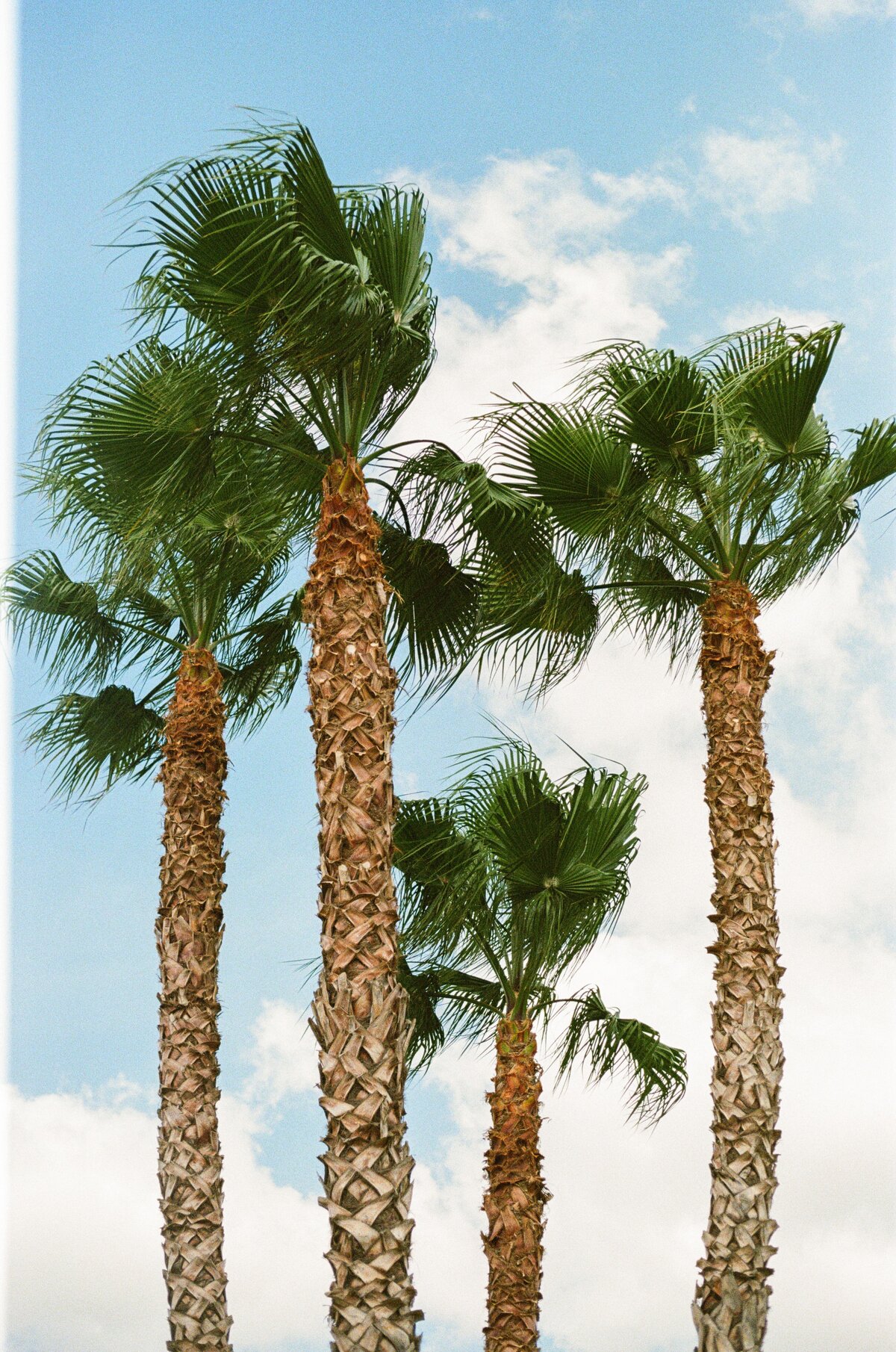 Mallorca-Film-Wedding-Photographer-2