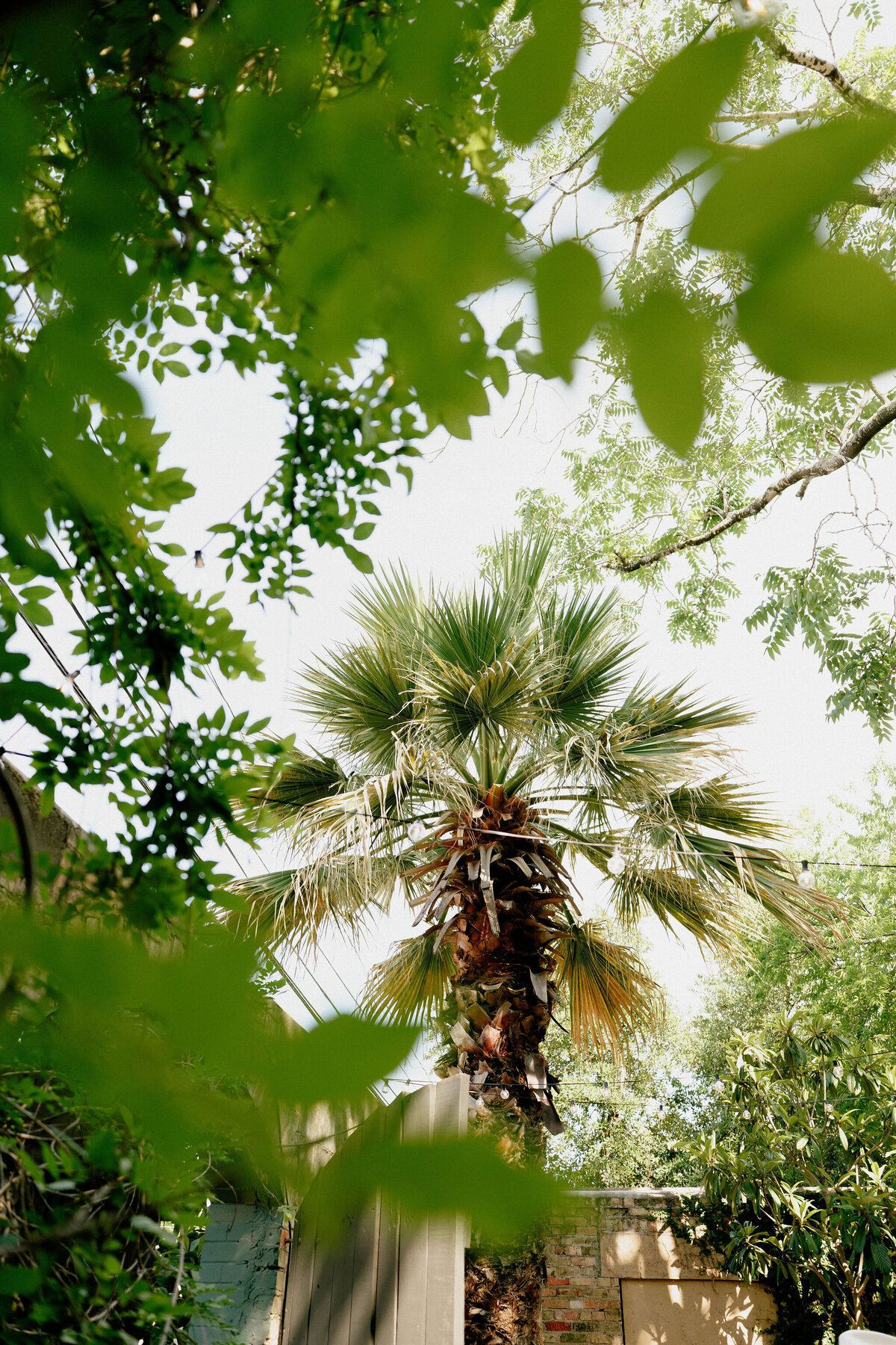 Details_Jen&ChrisWeddingPhotos_AustinWeddingPhotographer_HereafterFilms-8