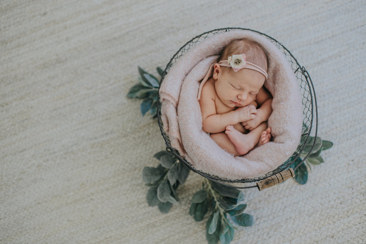 raleigh-newborn-photographers-Ella-0490