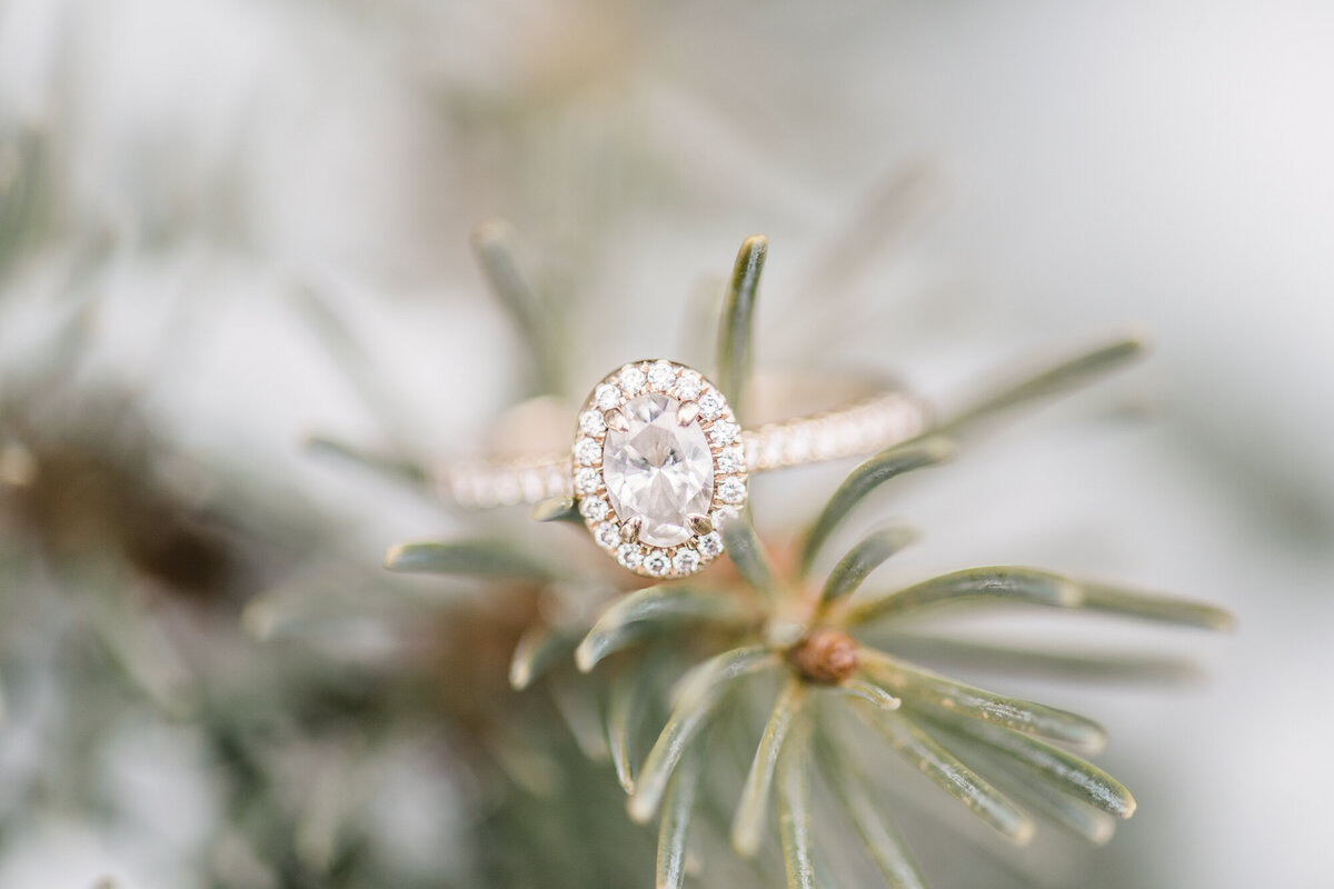 GunflintLodgeWeddingElopementTrailGrandMarais-13