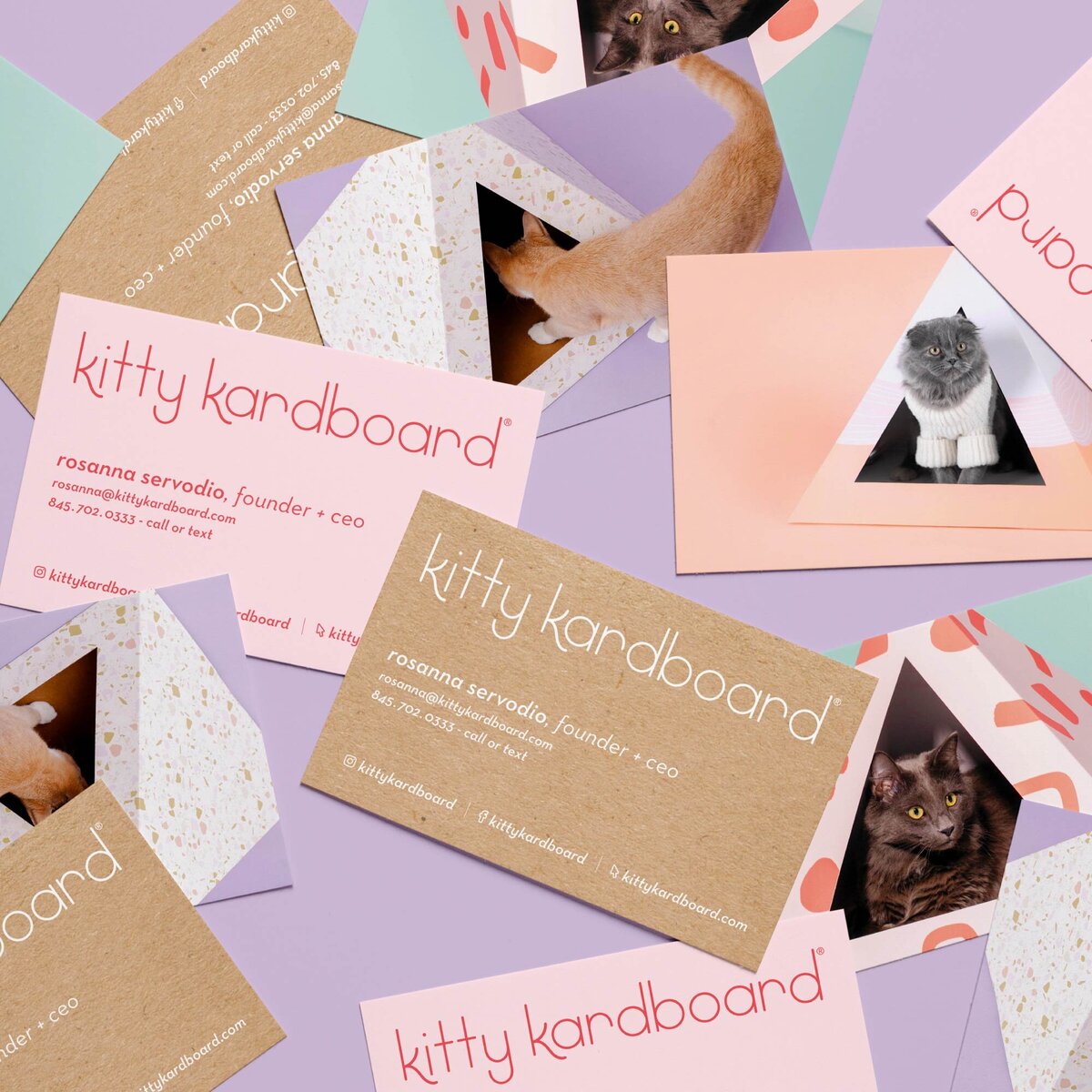 Rose-and-Palm-Studio_Portfolio_Kitty-Kardboard_Graphic-16