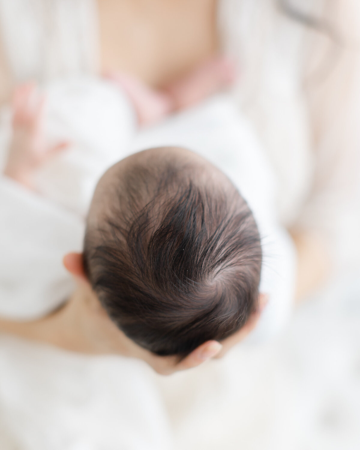 Philadelphia newborn portraits - 3