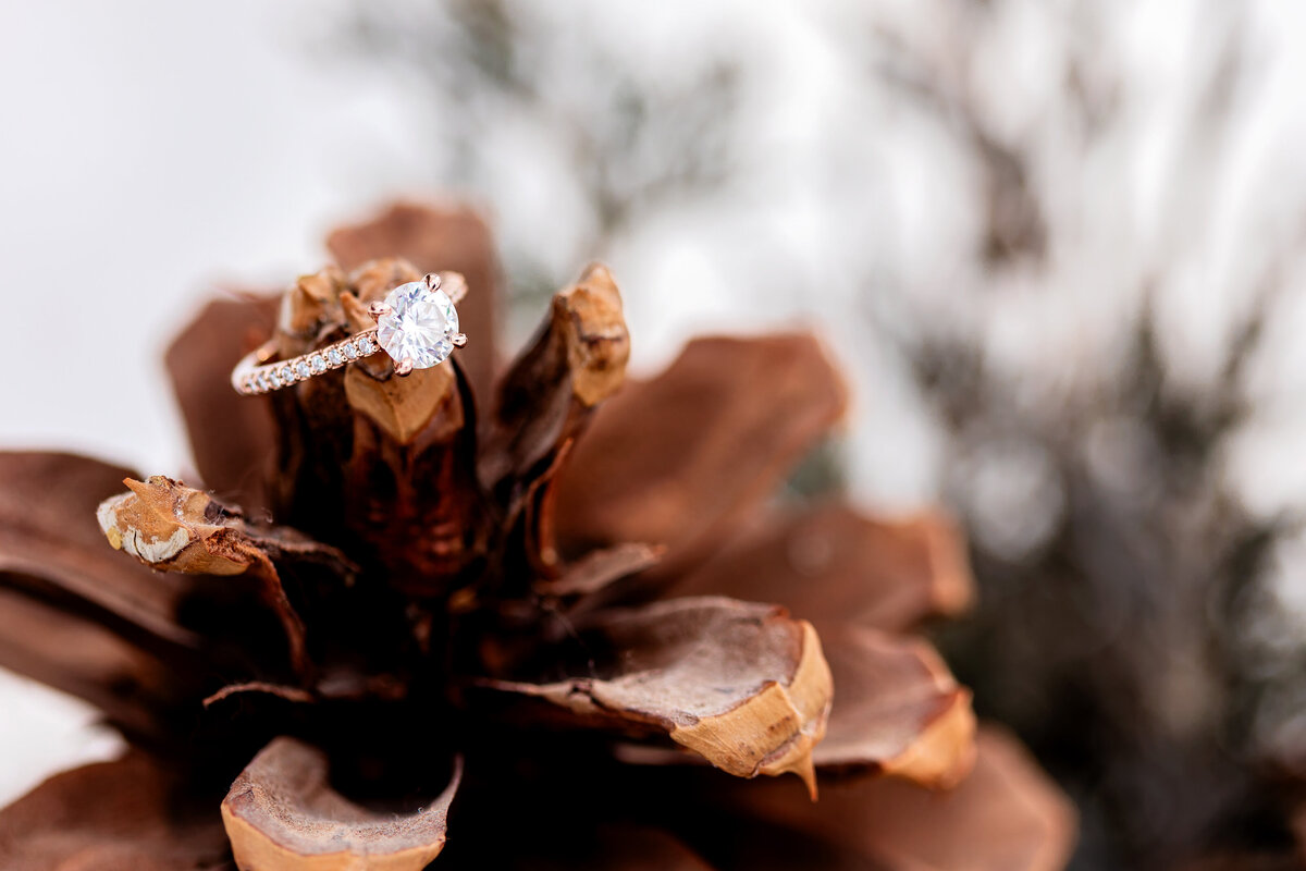 pinecone-ring-macro-shot
