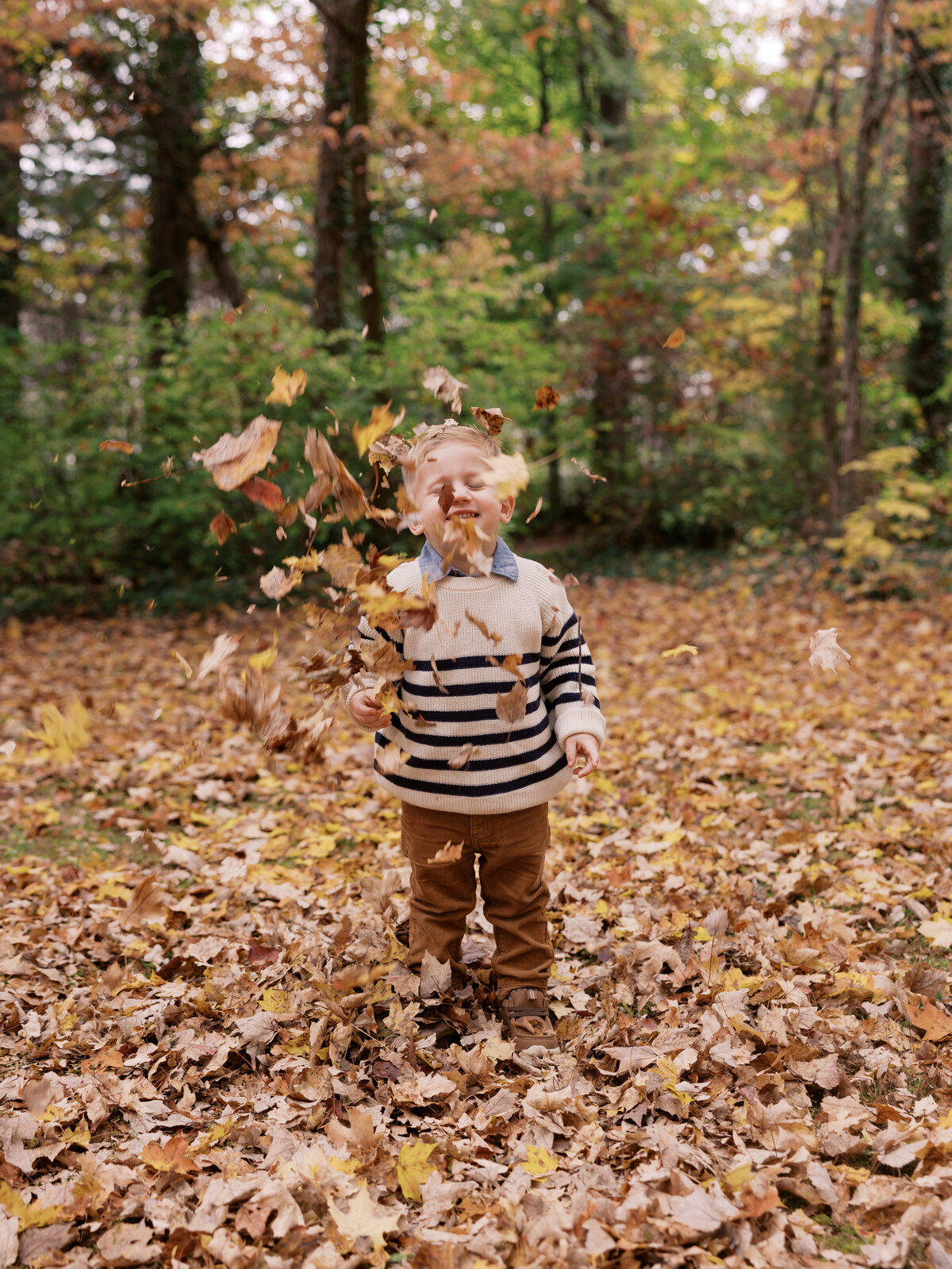 Smith_Mini_Fall_2024_Abigail_Malone_Photography-92