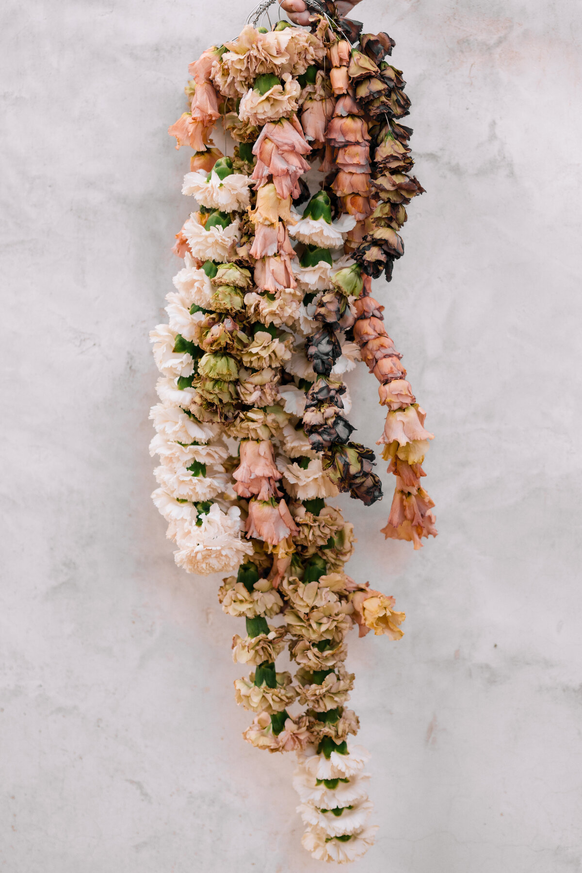 brefloresphotography-korakiapalmsprings-92