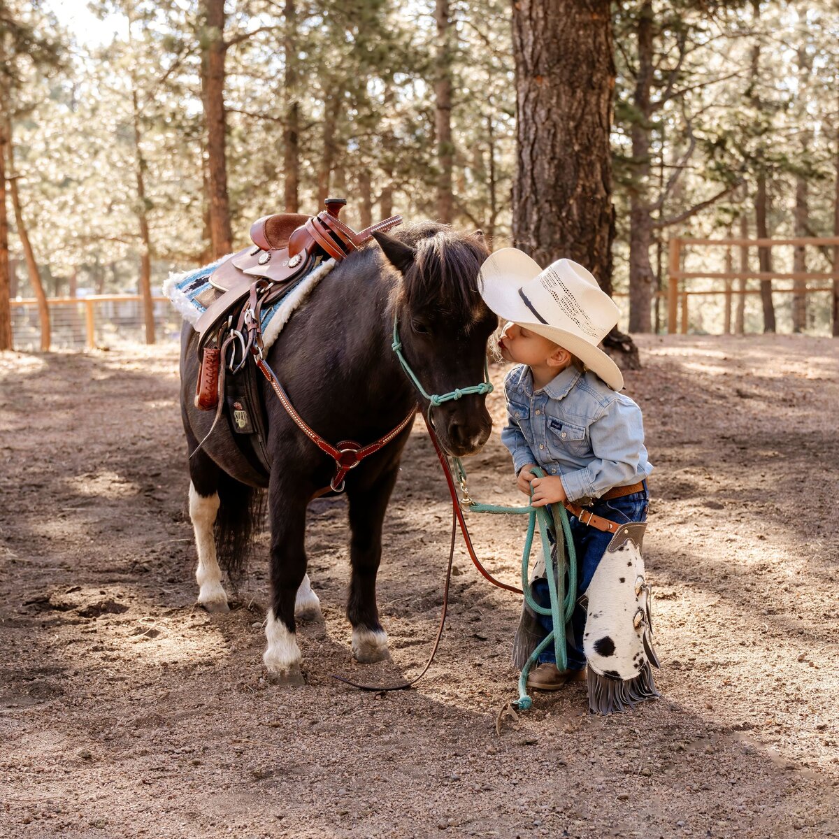 young boy kissing a pony